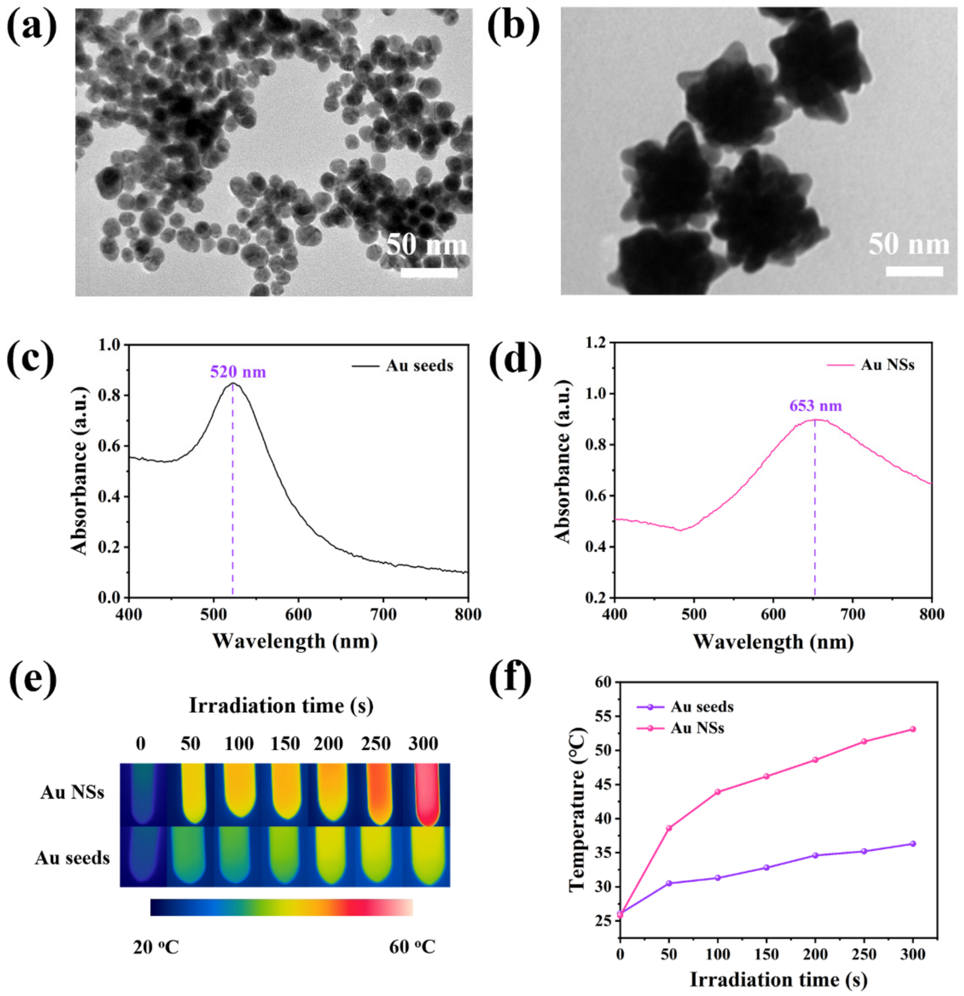 Nanomaterials 12 04232 g001