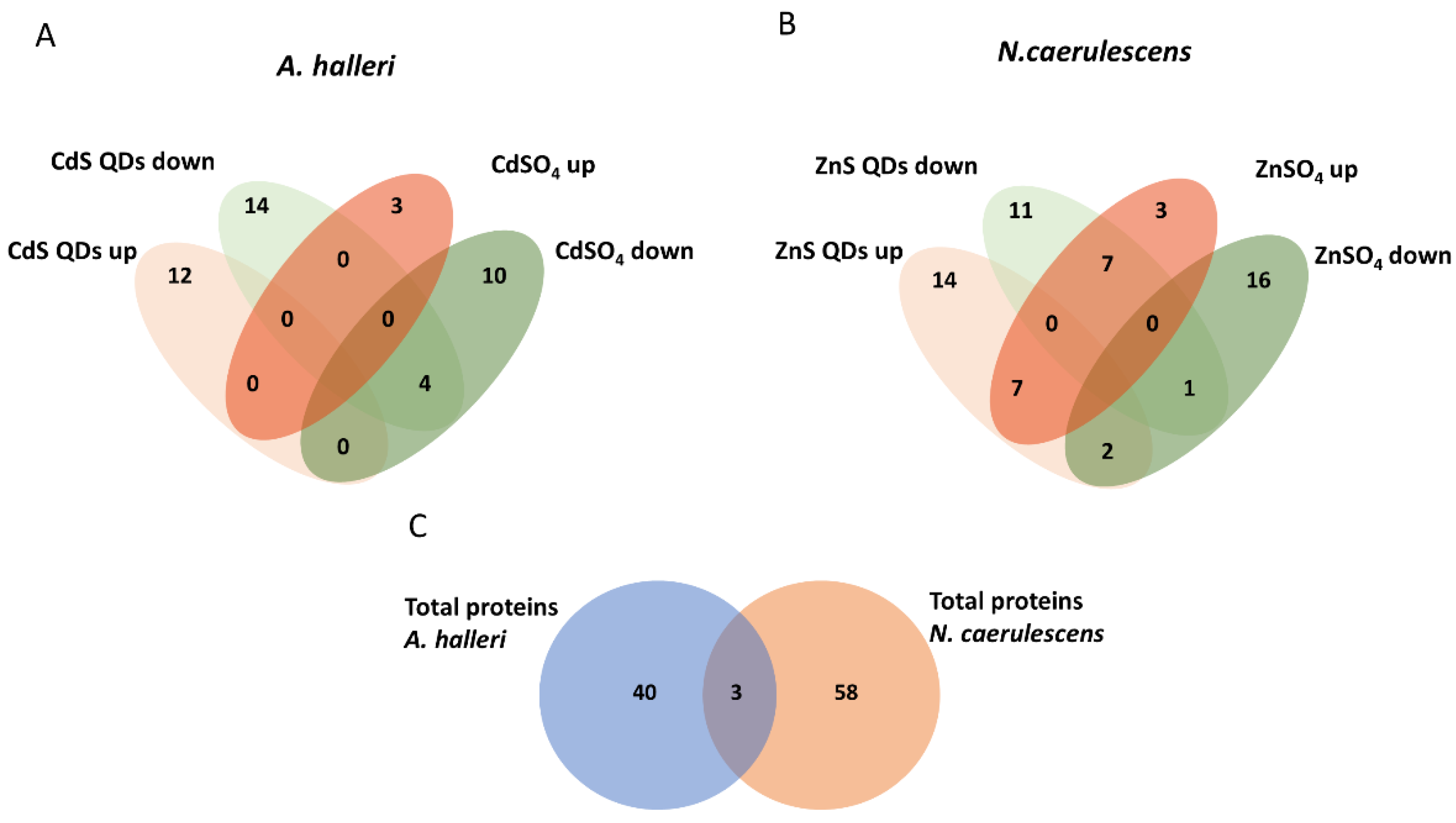 Nanomaterials 12 04236 g001