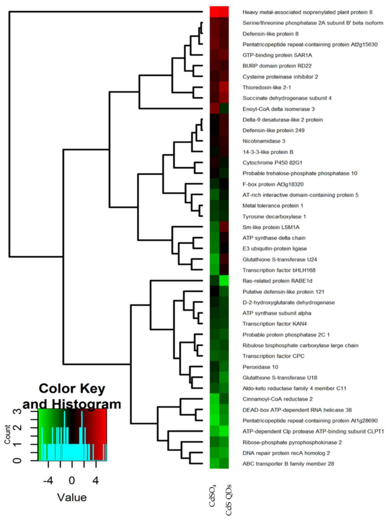 Nanomaterials 12 04236 g002