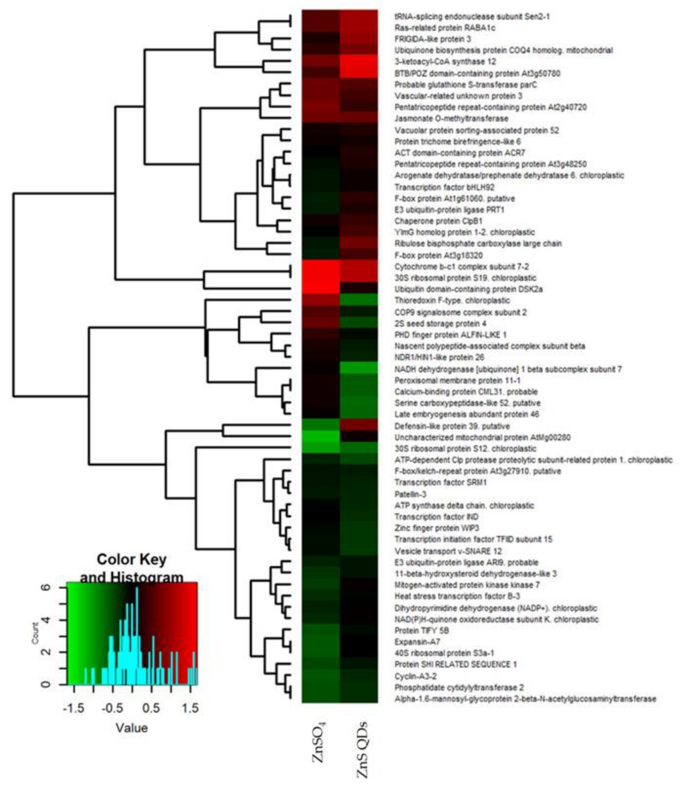 Nanomaterials 12 04236 g003