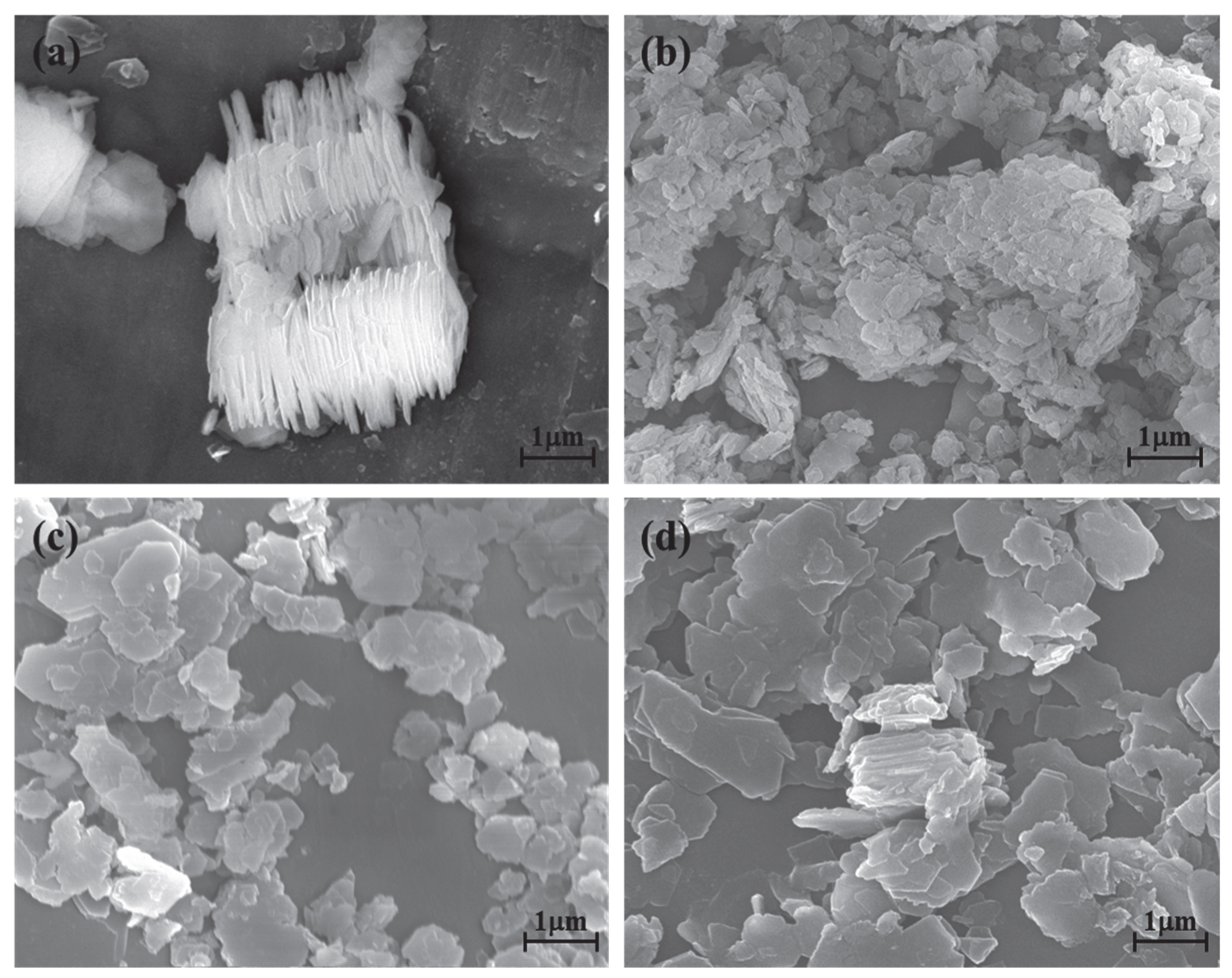 Nanomaterials 12 04255 g005