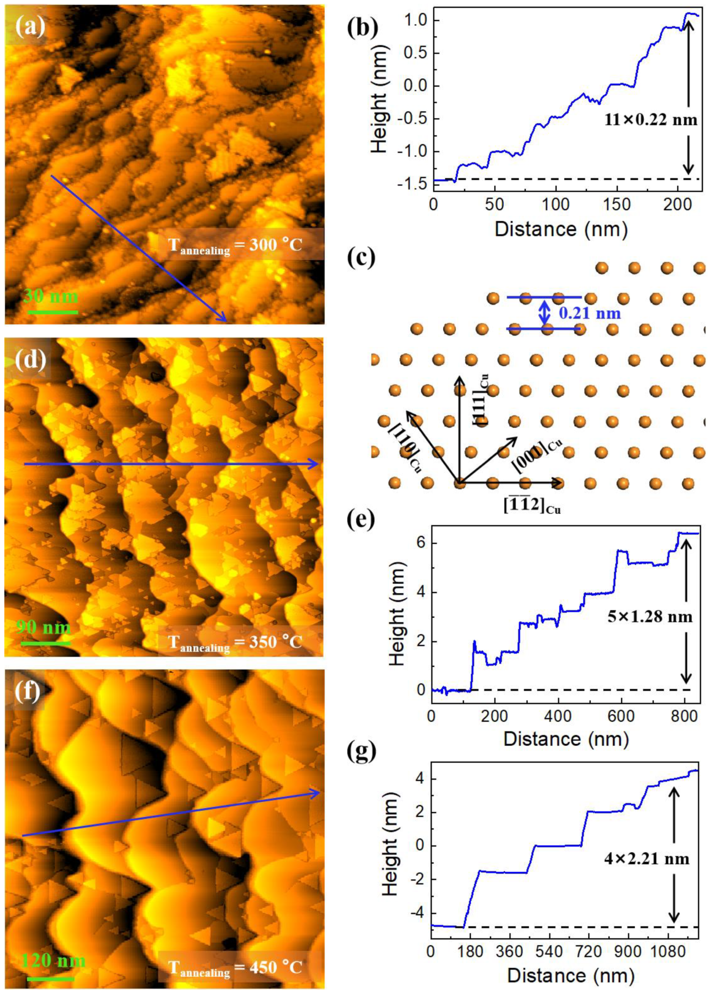 Nanomaterials 12 04278 g001 Nanomaterials 12 04278 g001