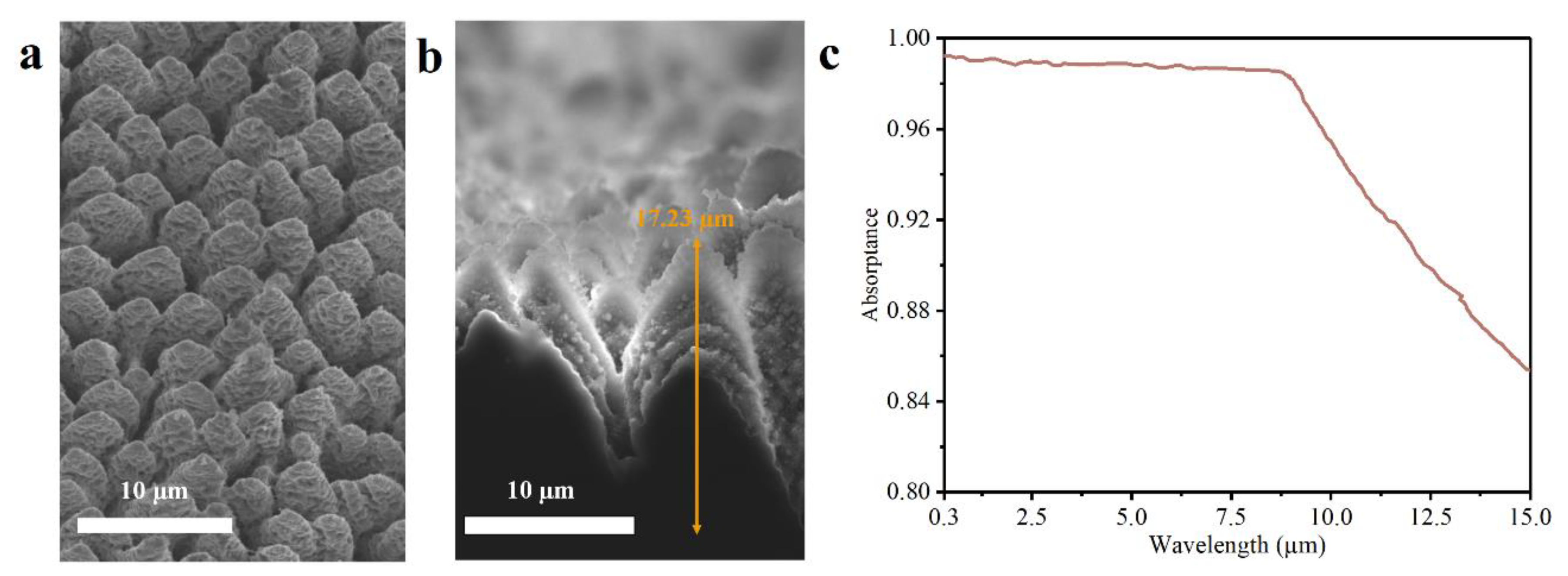 Nanomaterials 12 04285 g009