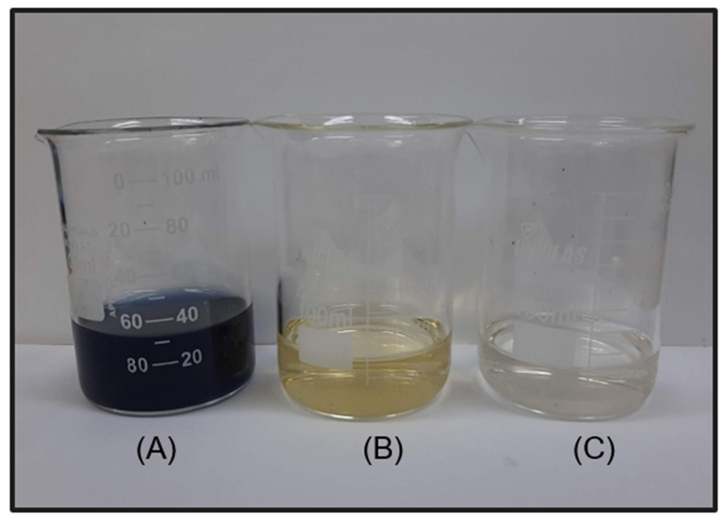 Nanomaterials 12 04301 g010