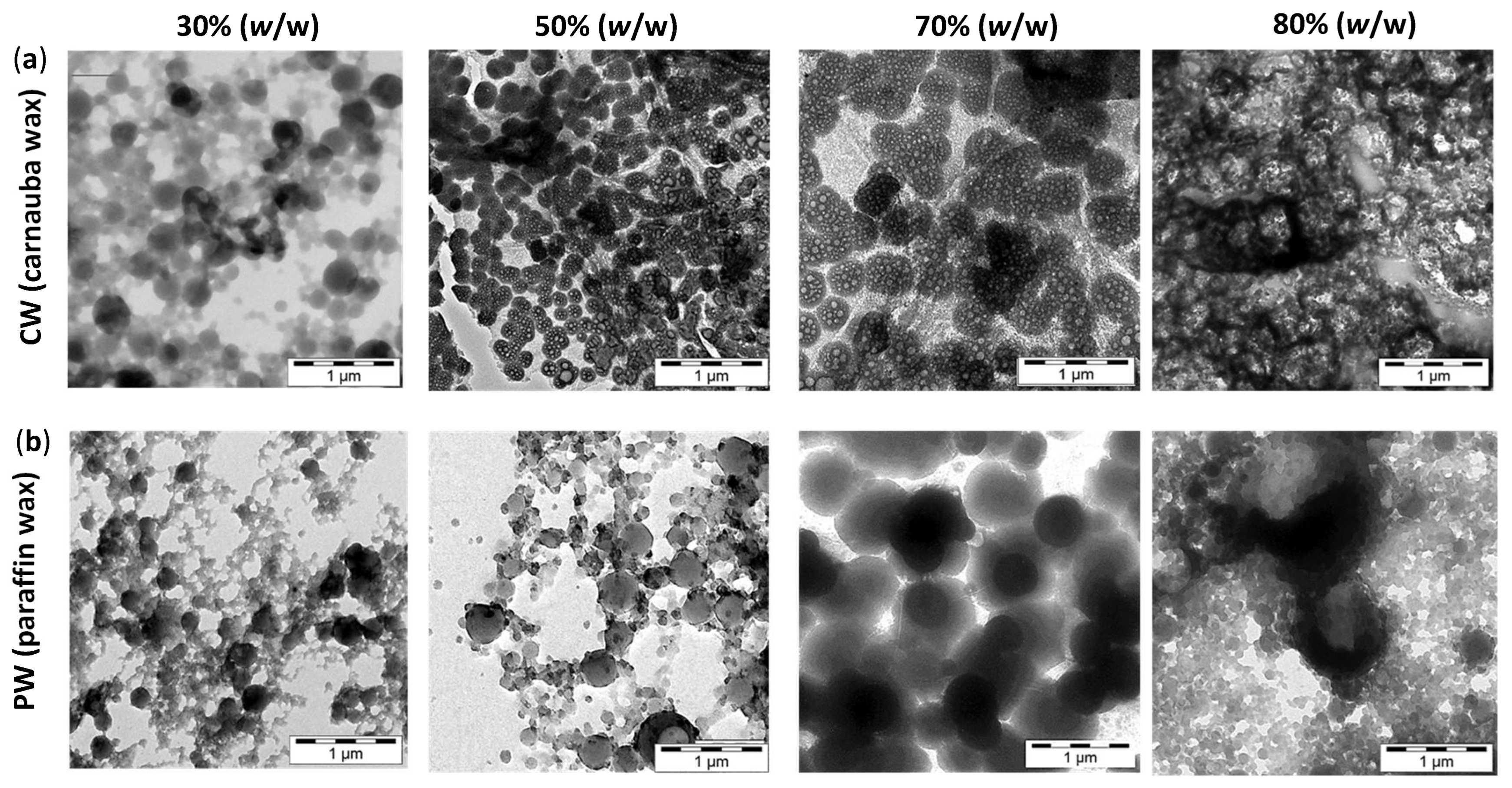 Nanomaterials 12 04329 g003 Nanomaterials 12 04329 g003