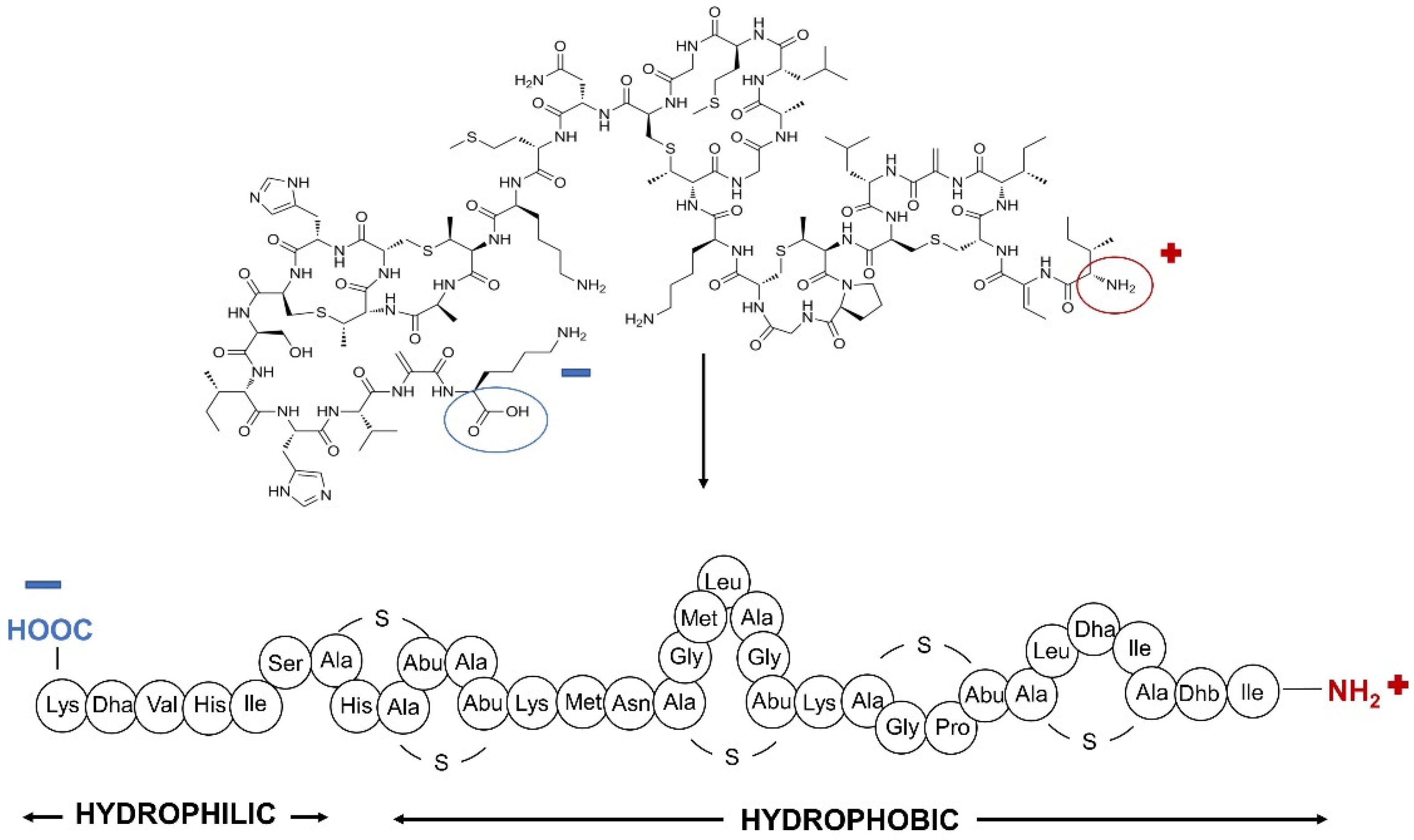 Nanomaterials 12 04332 g001