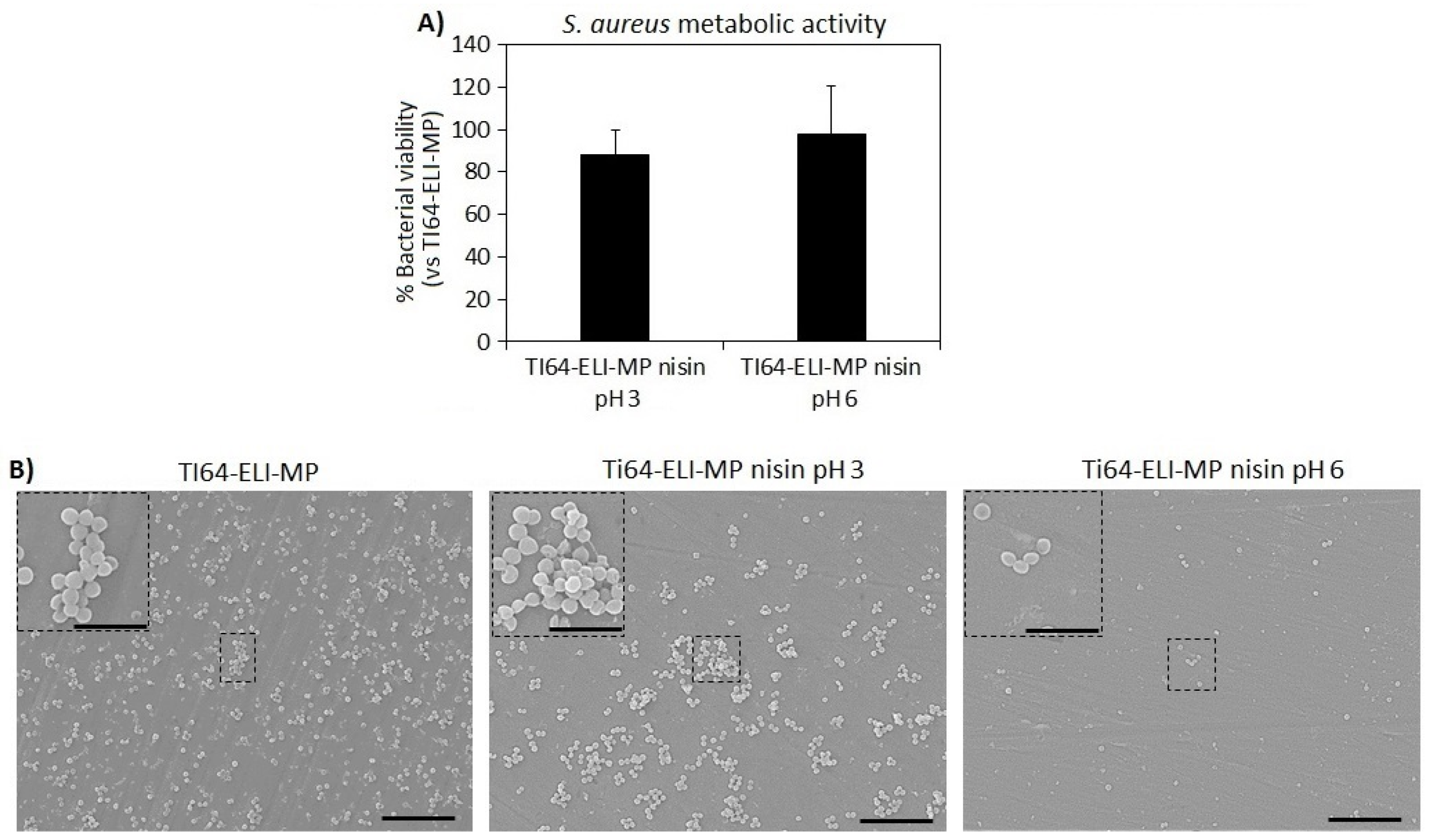 Nanomaterials 12 04332 g010