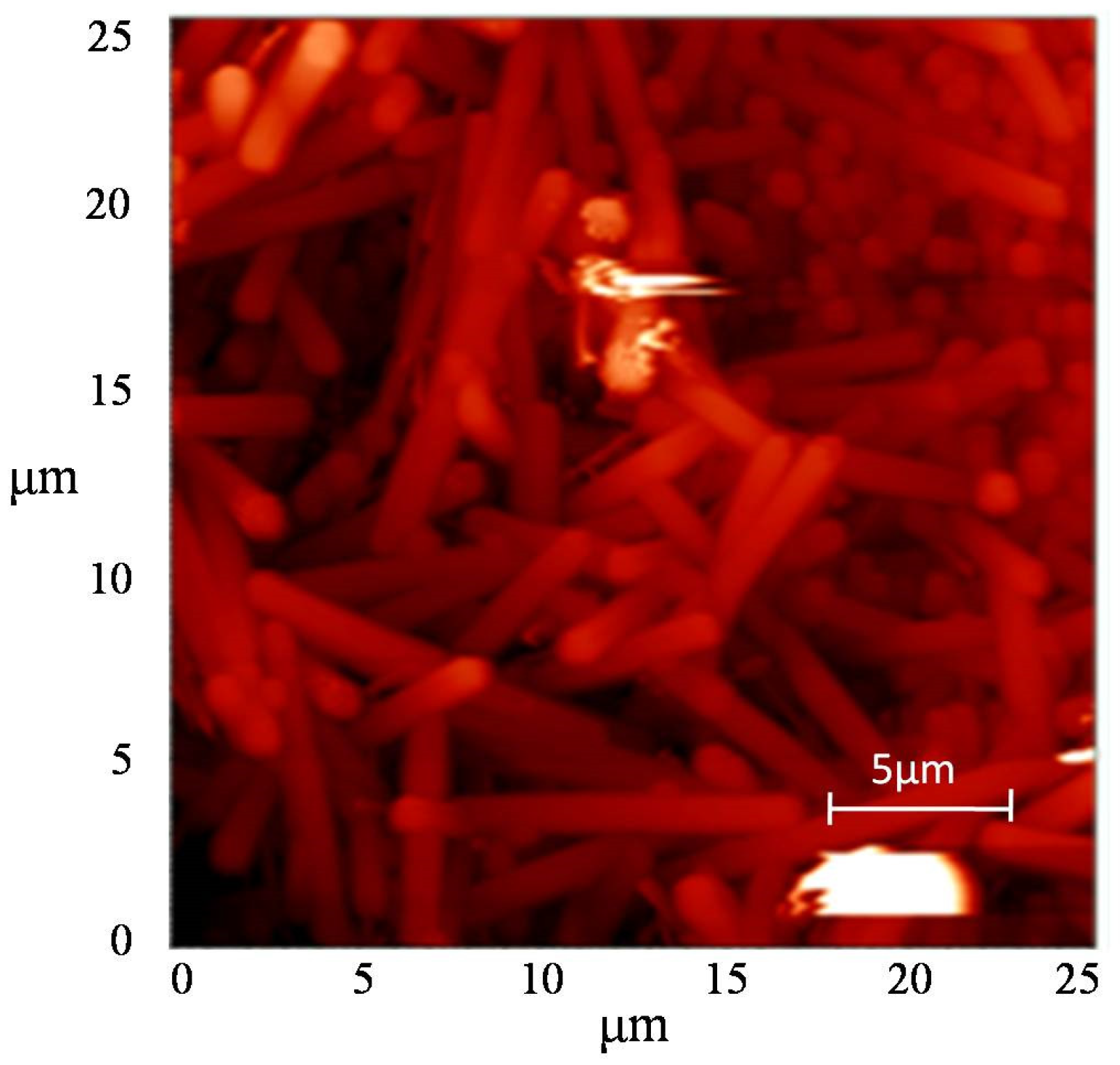 Nanomaterials 12 04333 g007