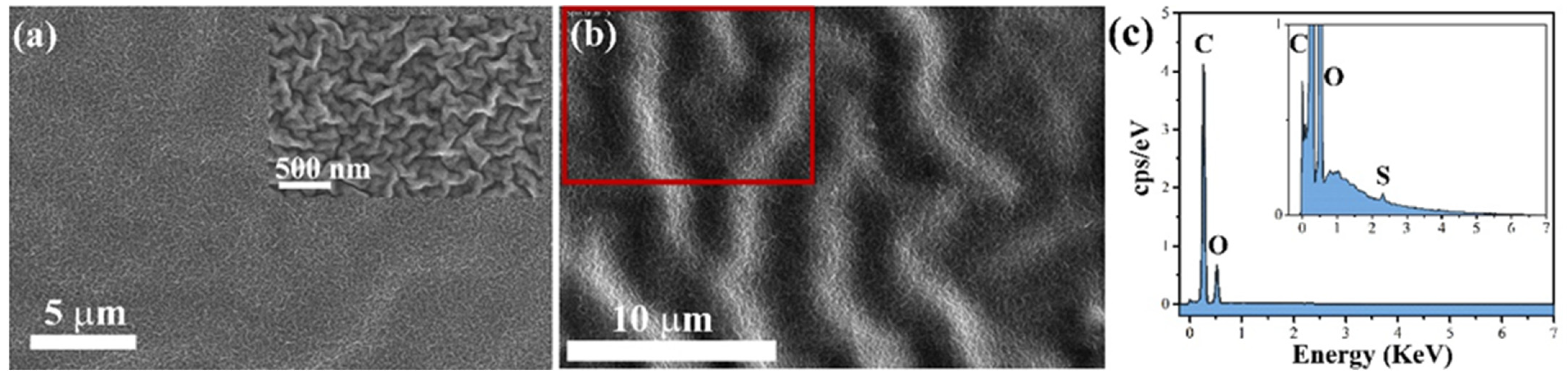 Nanomaterials 12 04345 g004