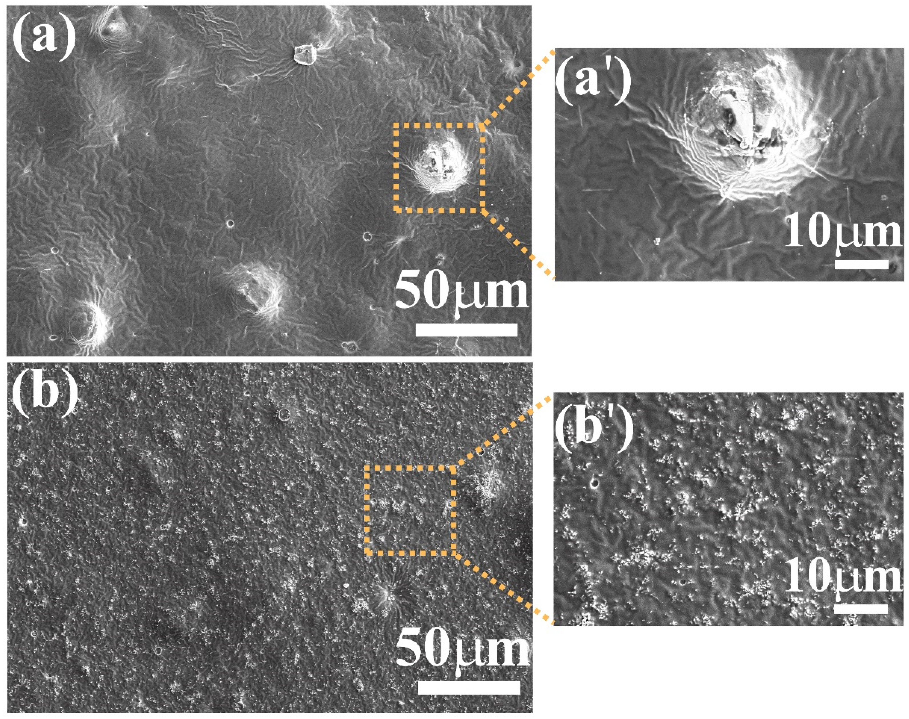 Nanomaterials 12 04345 g005