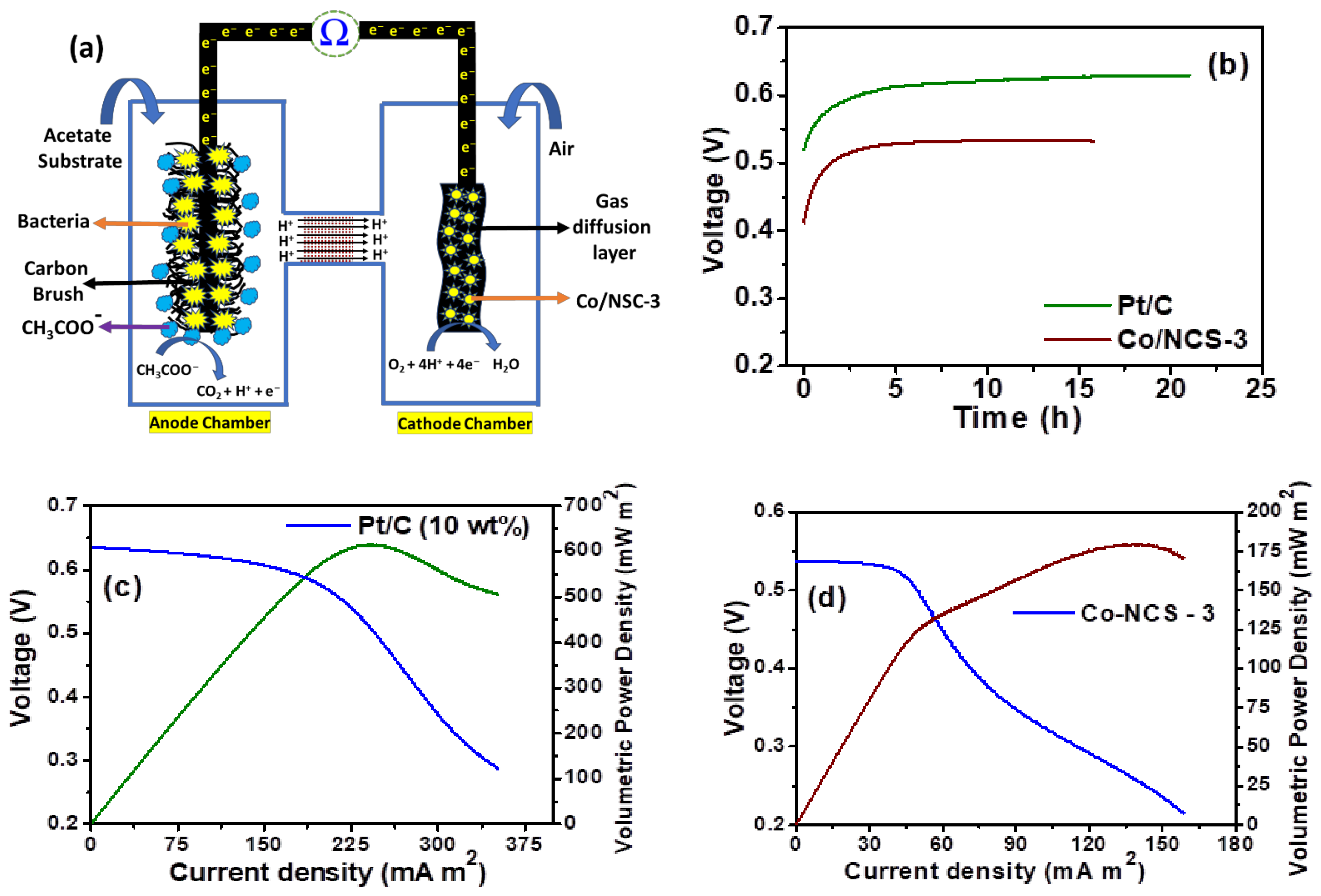 Nanomaterials 12 04369 g009