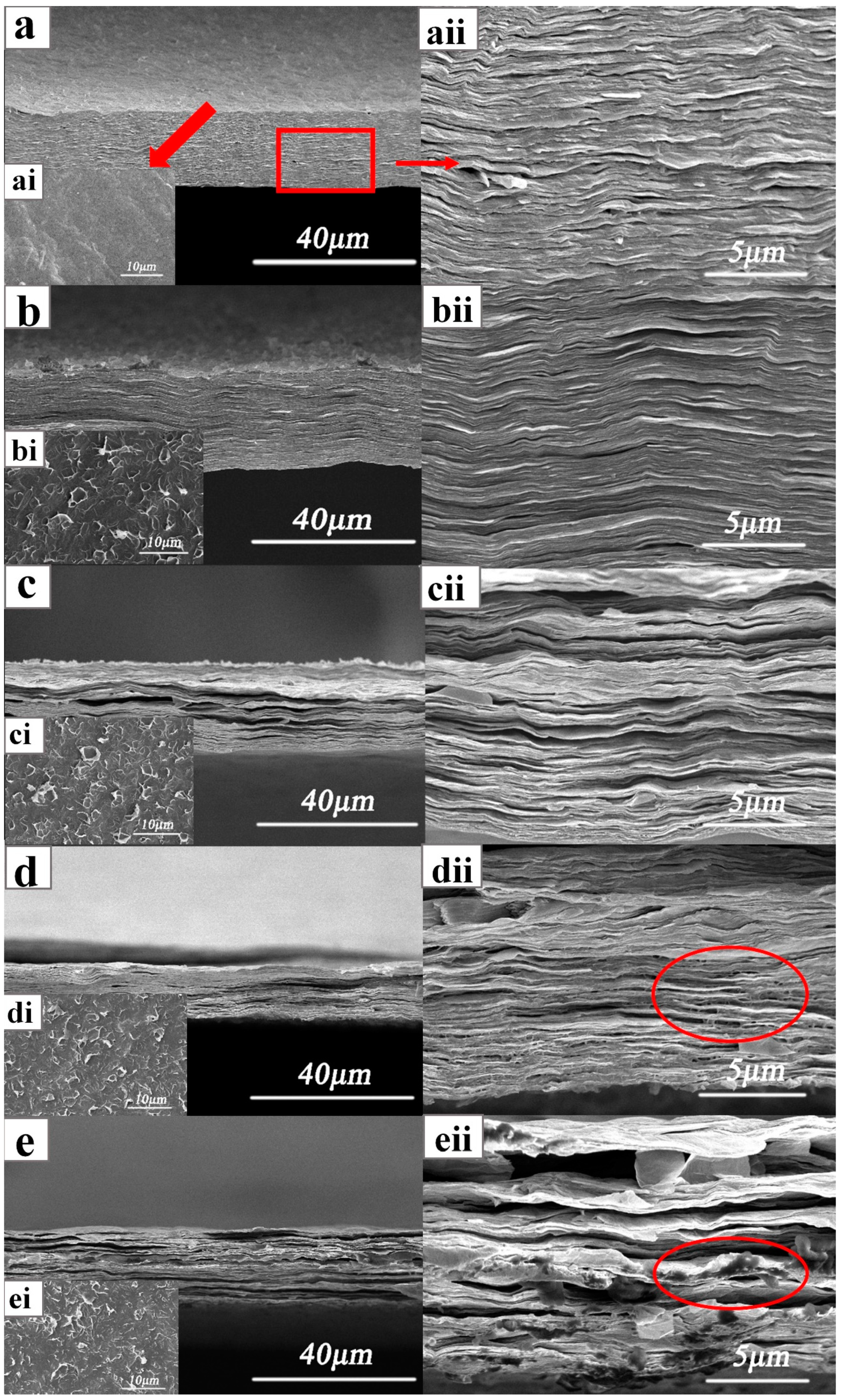 Nanomaterials 12 04371 g002