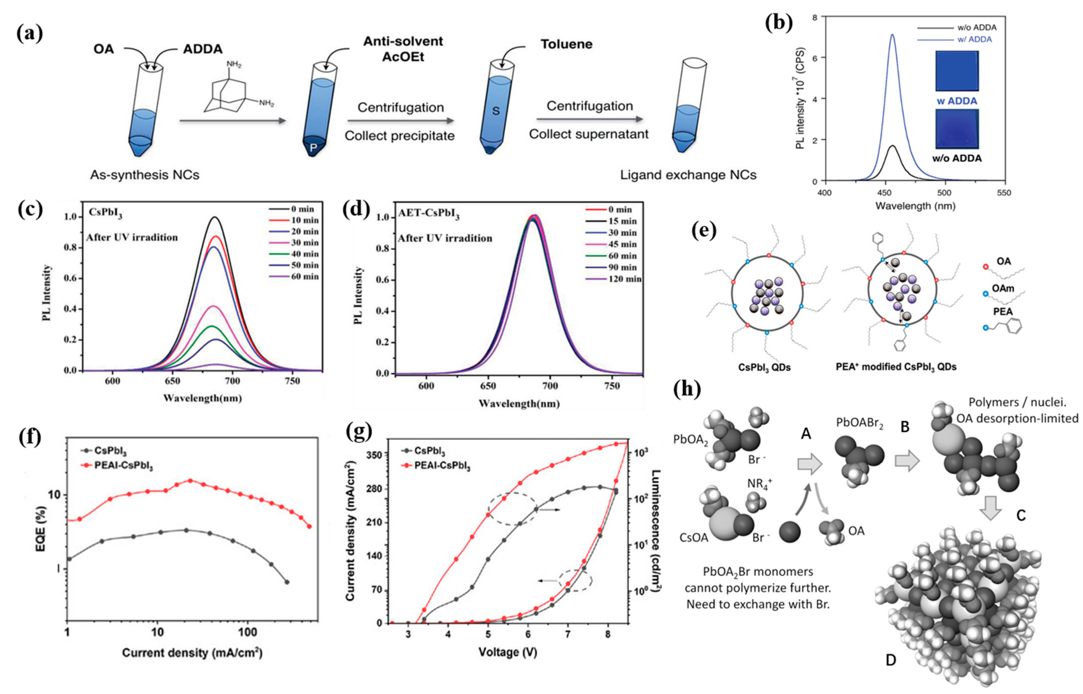 Nanomaterials 12 04372 g004