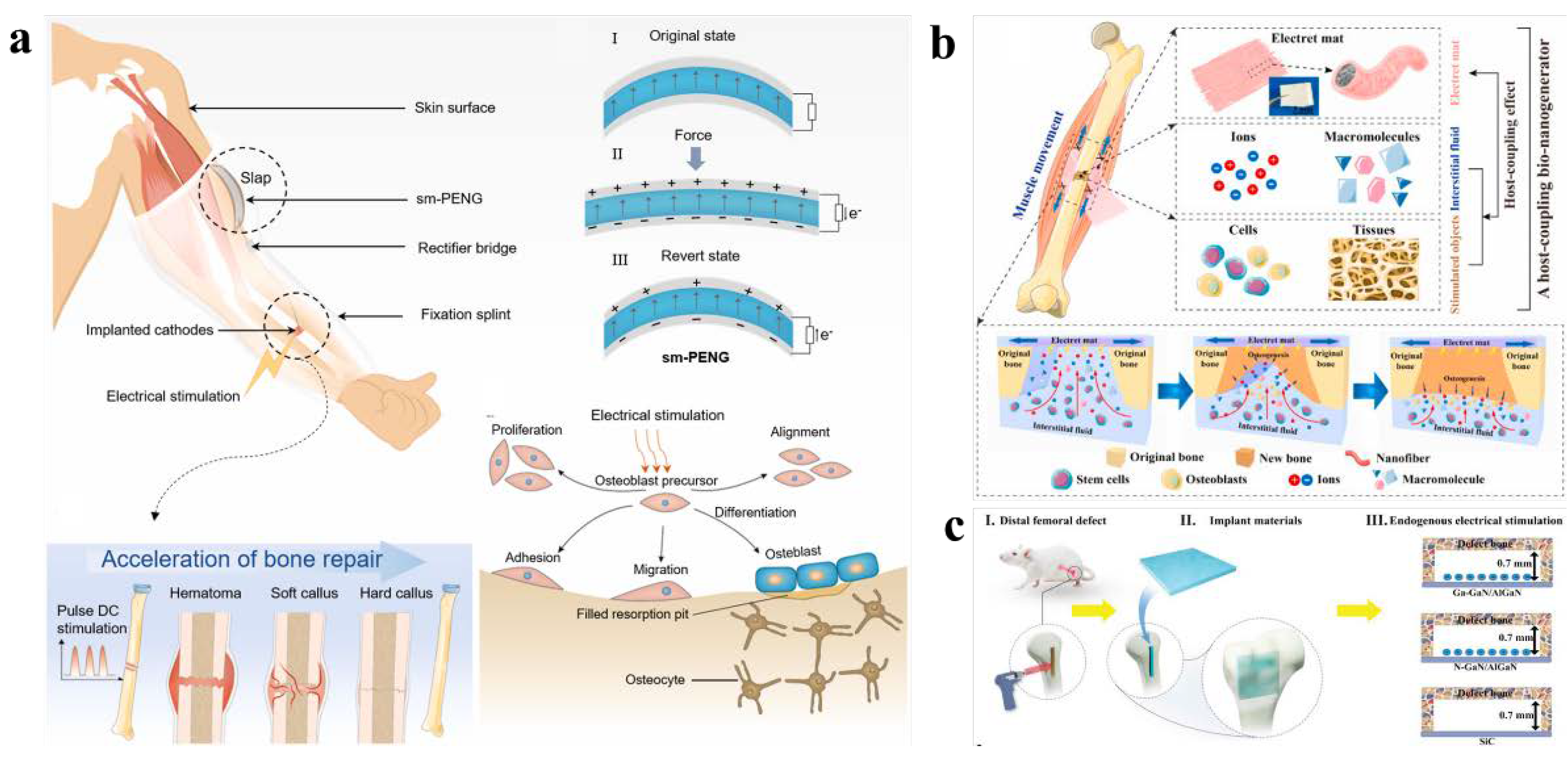 Nanomaterials 12 04386 g005 Nanomaterials 12 04386 g005