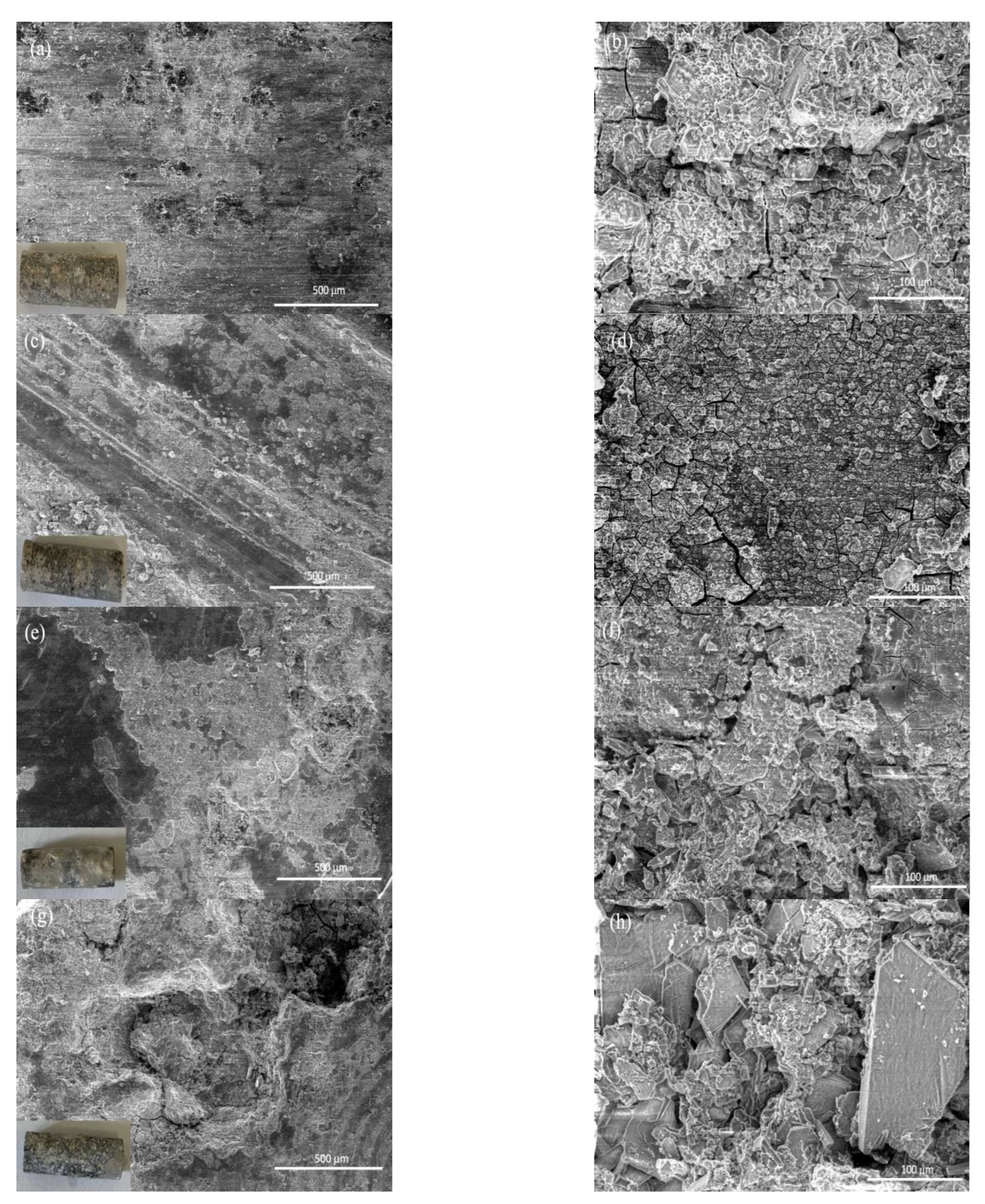 Nanomaterials 12 04399 g011