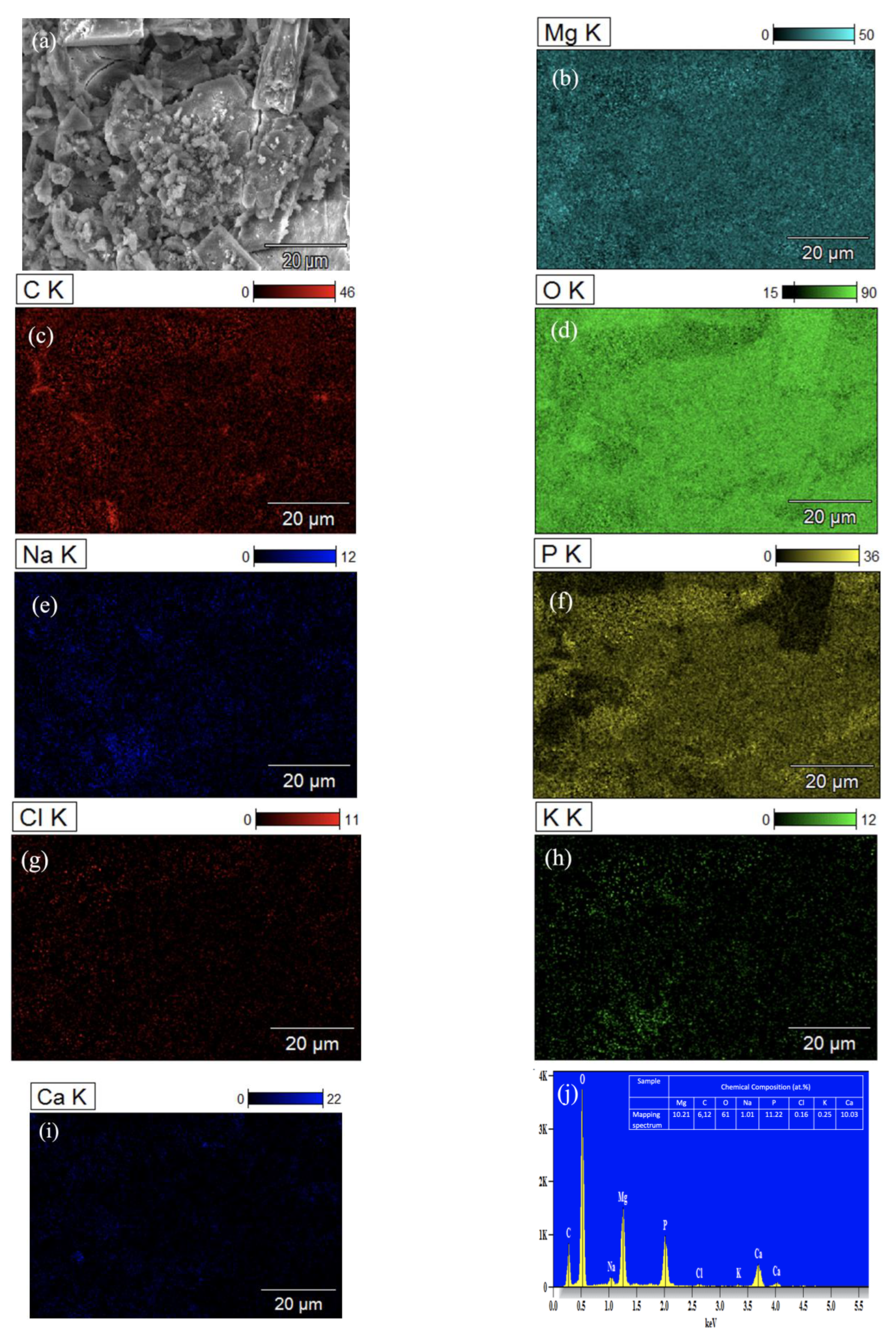 Nanomaterials 12 04399 g012