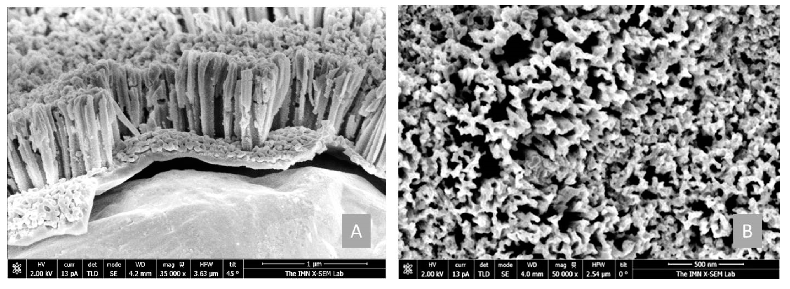 Nanomaterials 12 04400 g004