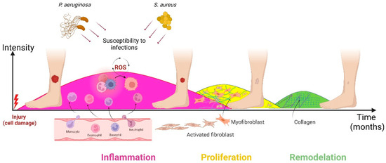 Nanomaterials 12 04409 g002