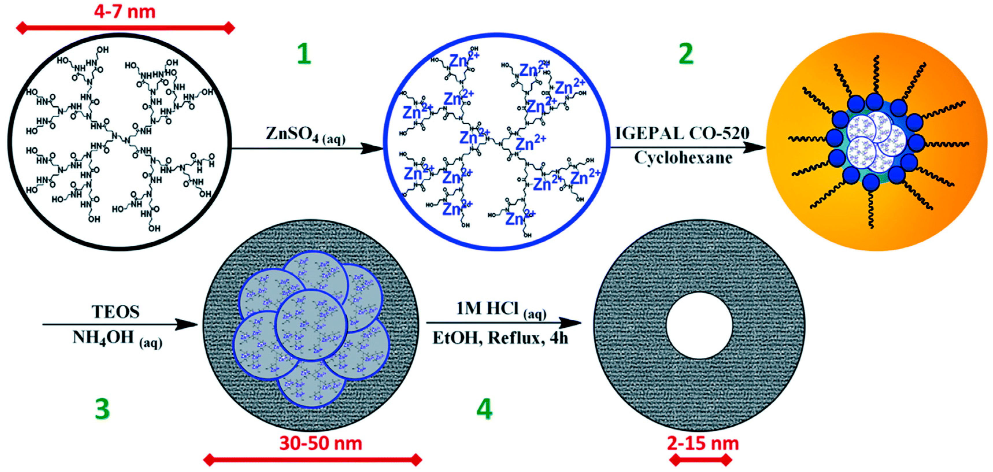 Nanomaterials 12 04413 g002