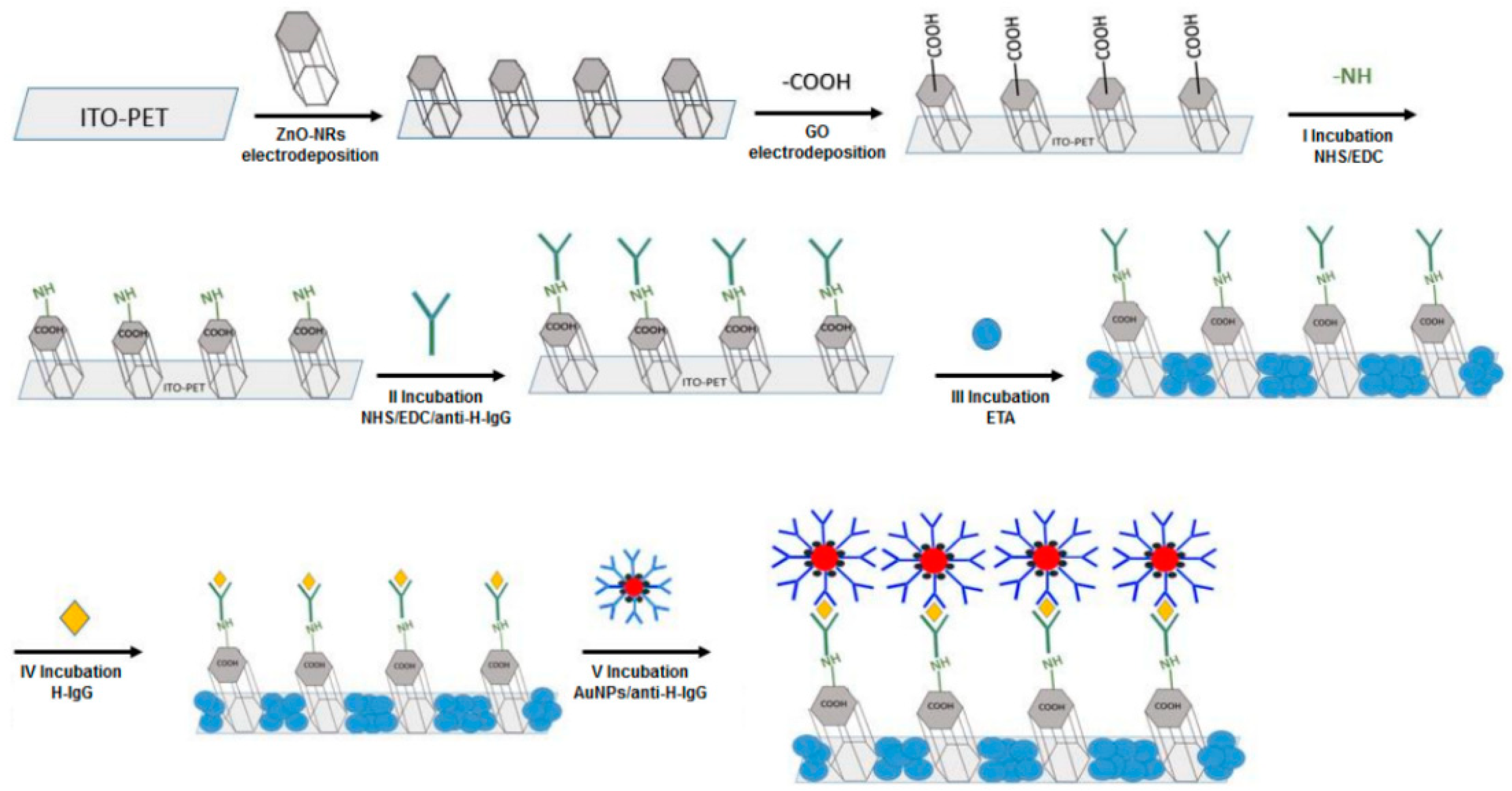 Nanomaterials 12 04413 g004