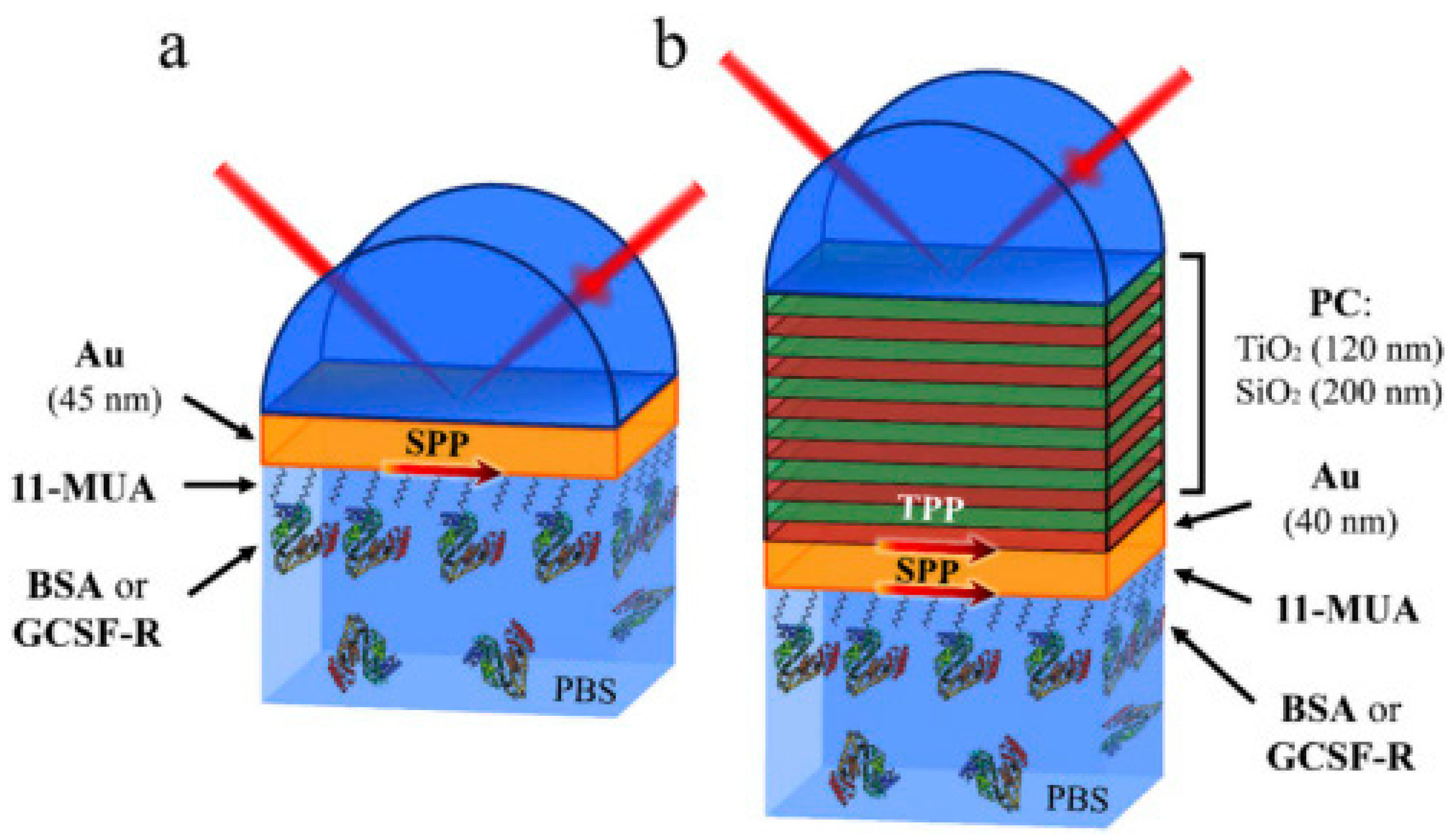 Nanomaterials 12 04413 g007