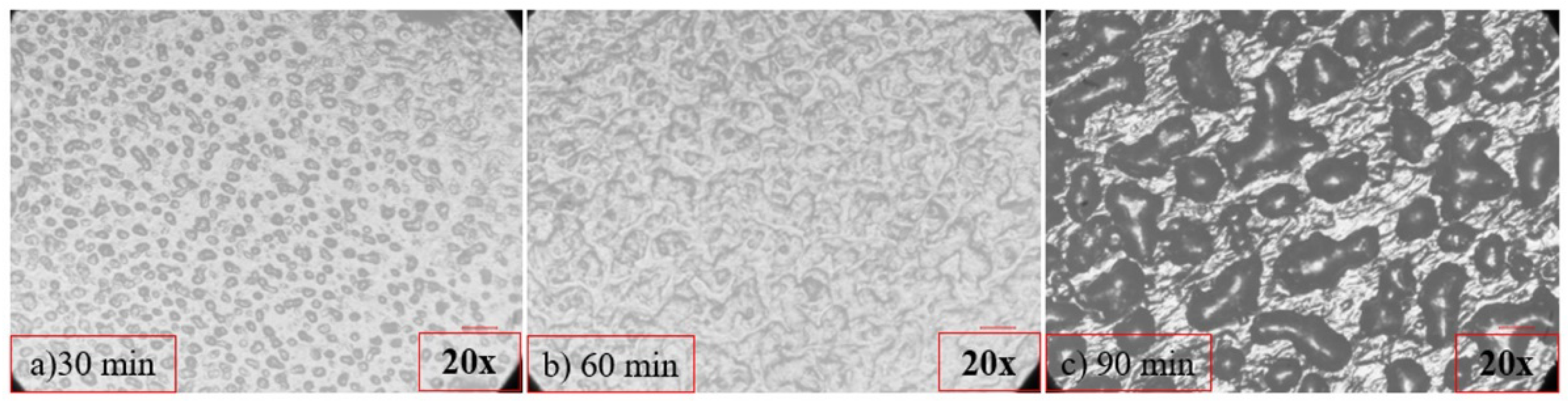 Nanomaterials 12 04427 g005