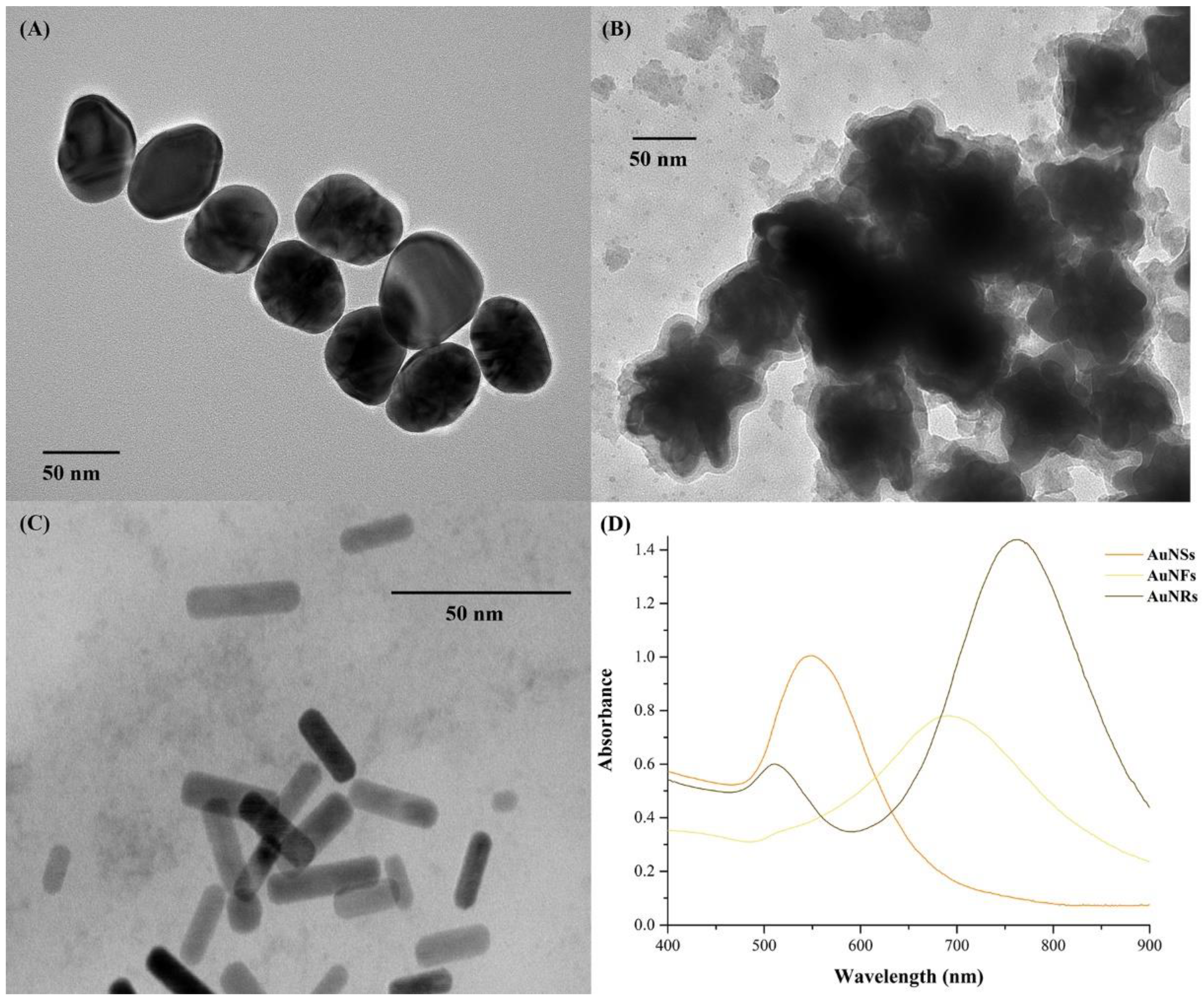 Nanomaterials 12 04434 g001