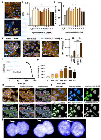 Nanomaterials 12 04463 g002