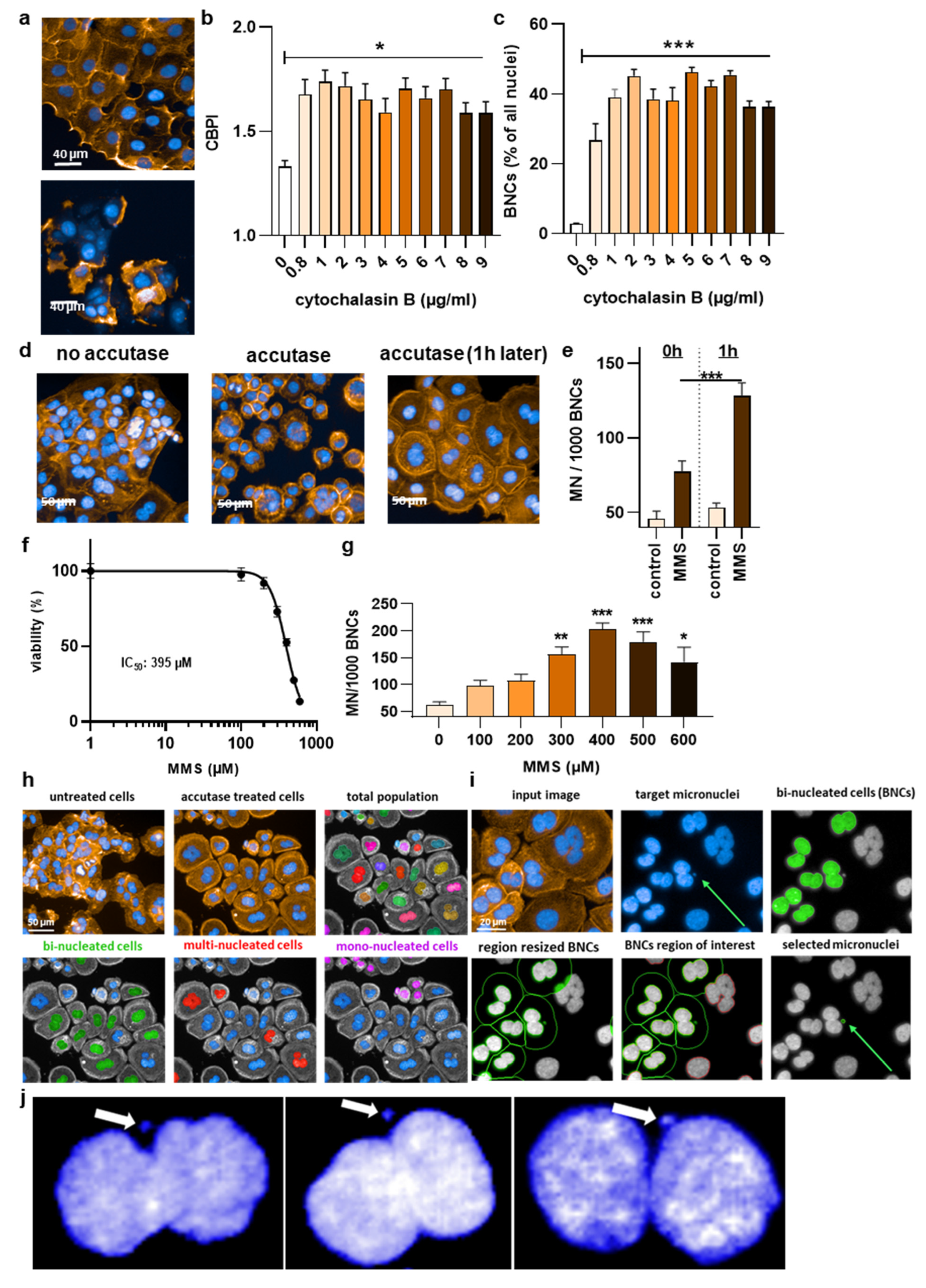 Nanomaterials 12 04463 g002