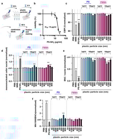 Nanomaterials 12 04463 g003