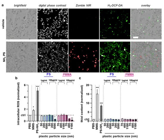 Nanomaterials 12 04463 g004