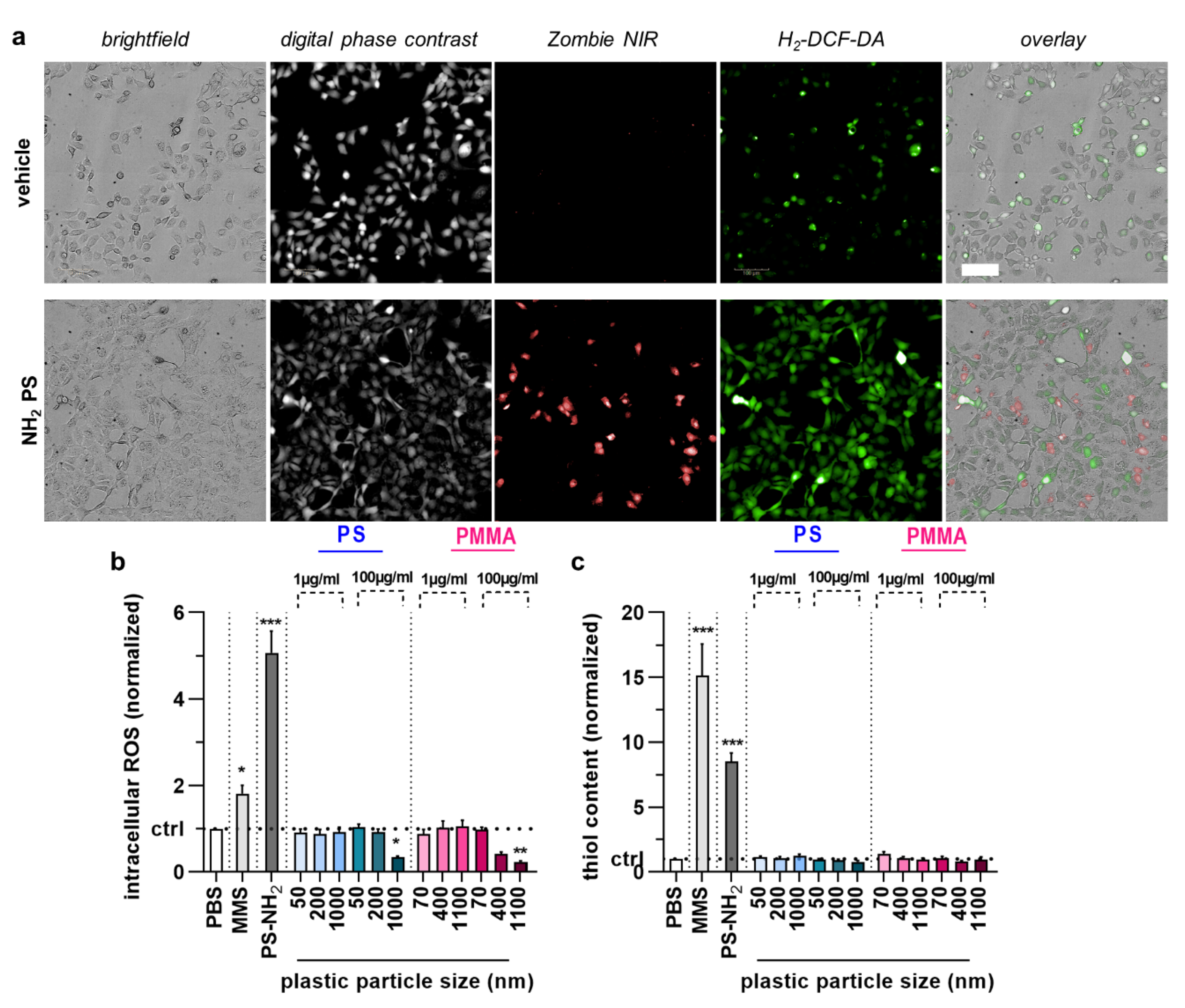 Nanomaterials 12 04463 g004