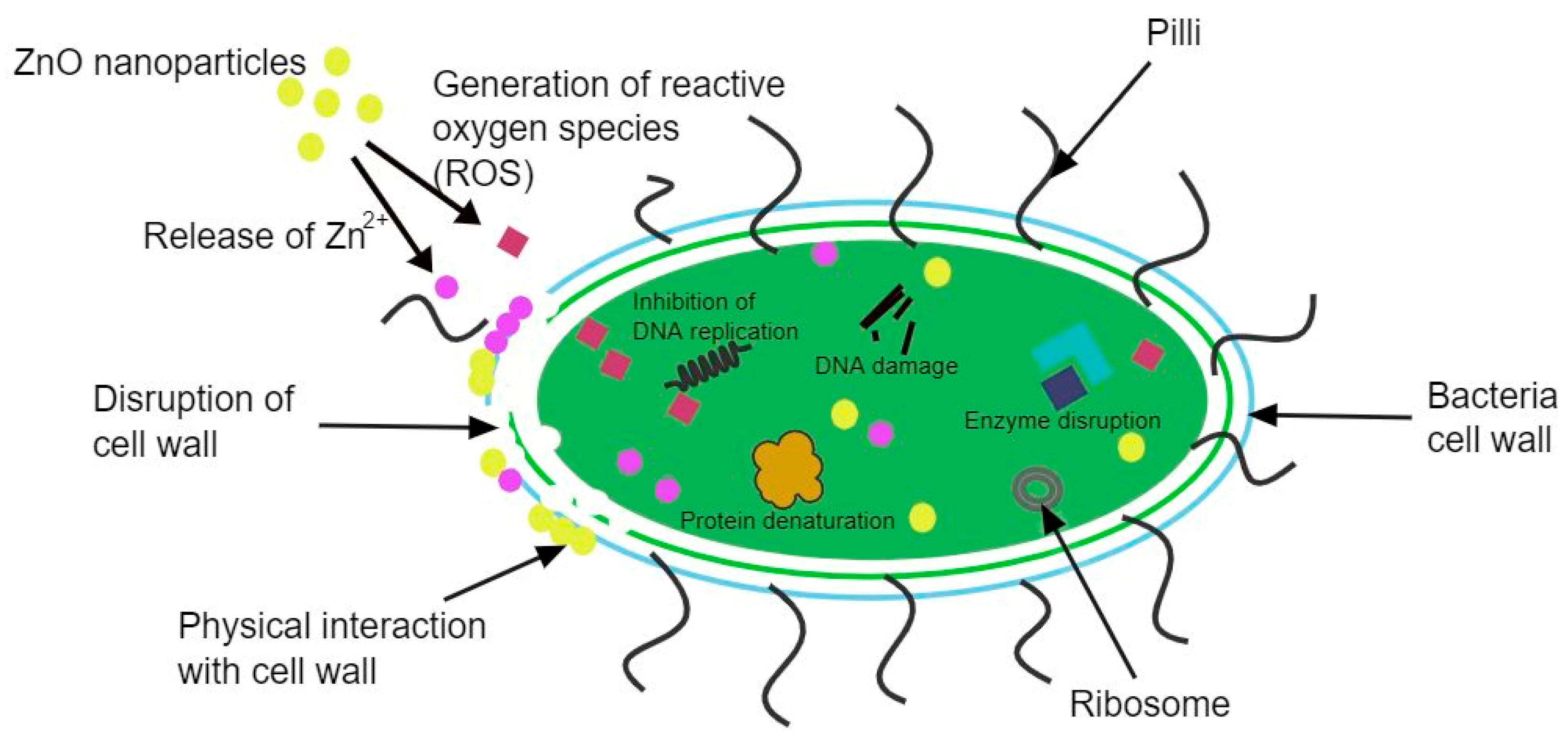 Nanomaterials 12 04469 g005 Nanomaterials 12 04469 g005