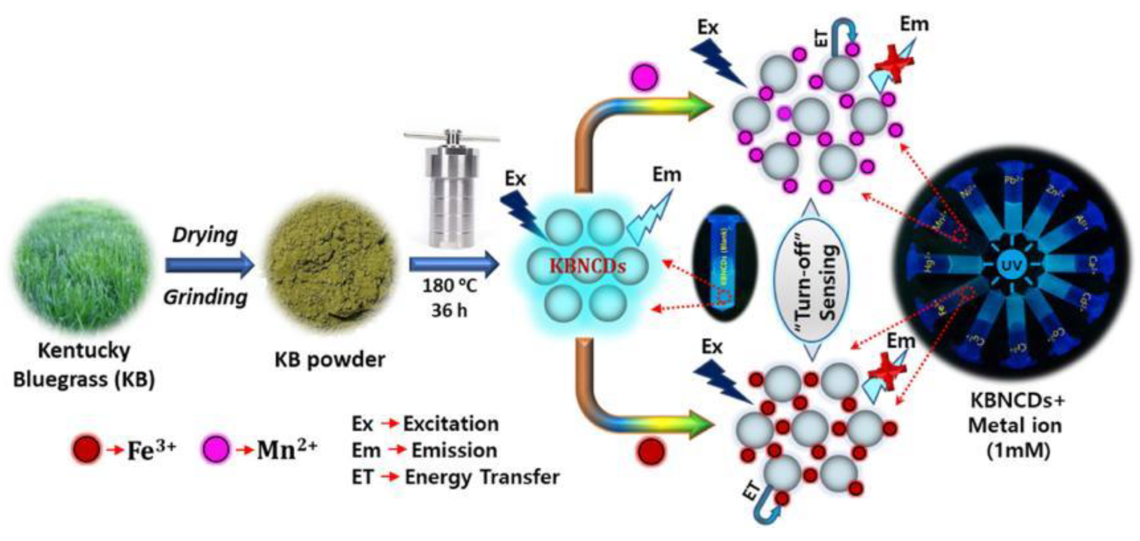 Nanomaterials 12 04473 g002 Nanomaterials 12 04473 g002