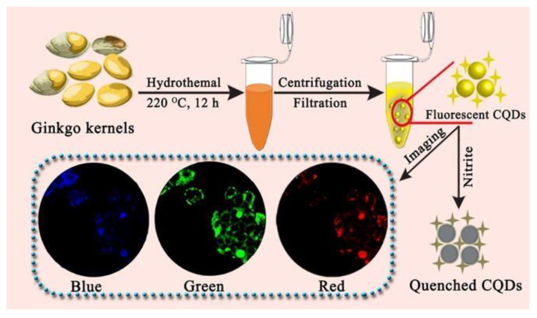 Nanomaterials 12 04473 g004 Nanomaterials 12 04473 g004