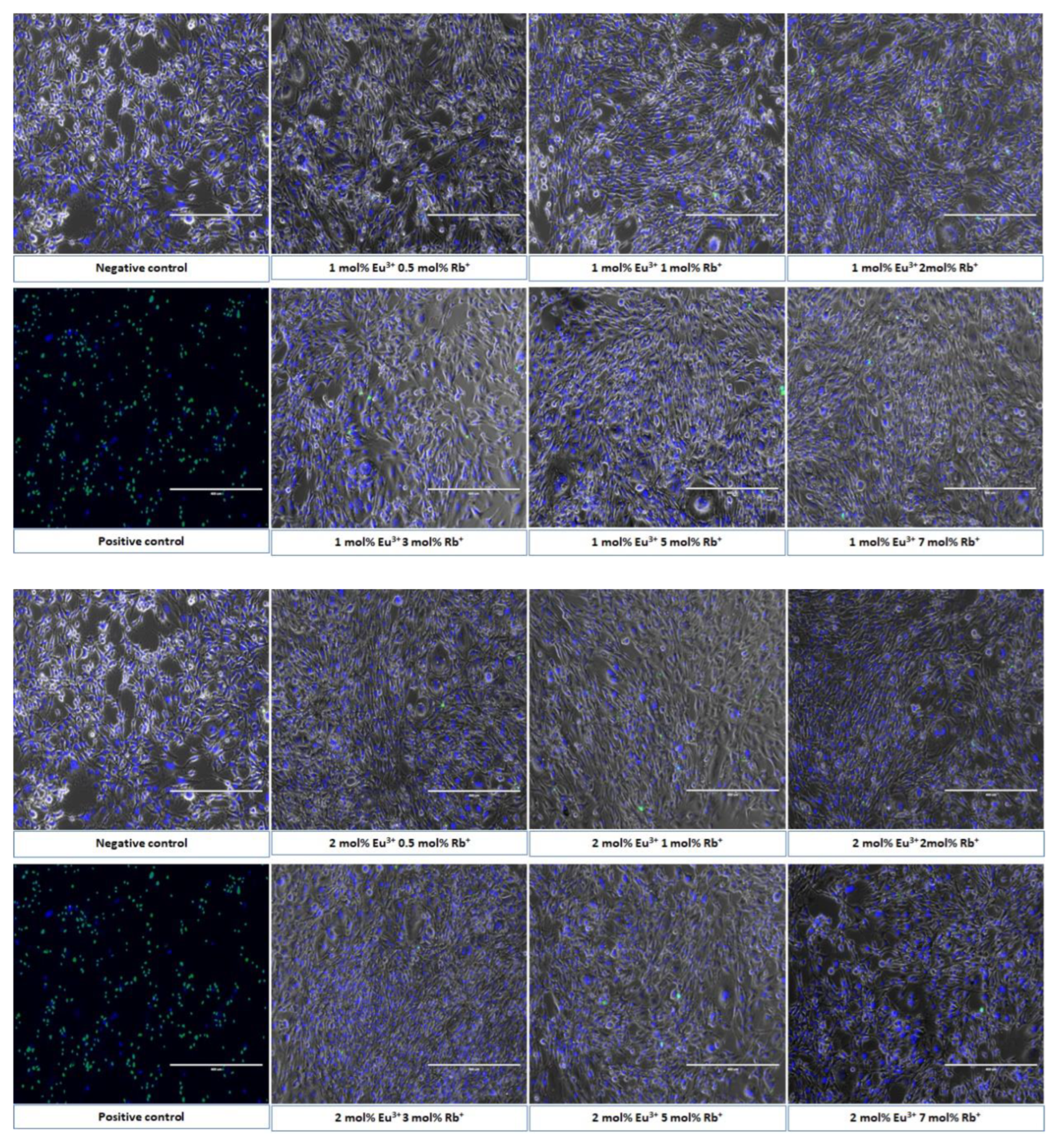 Nanomaterials 12 04475 g010
