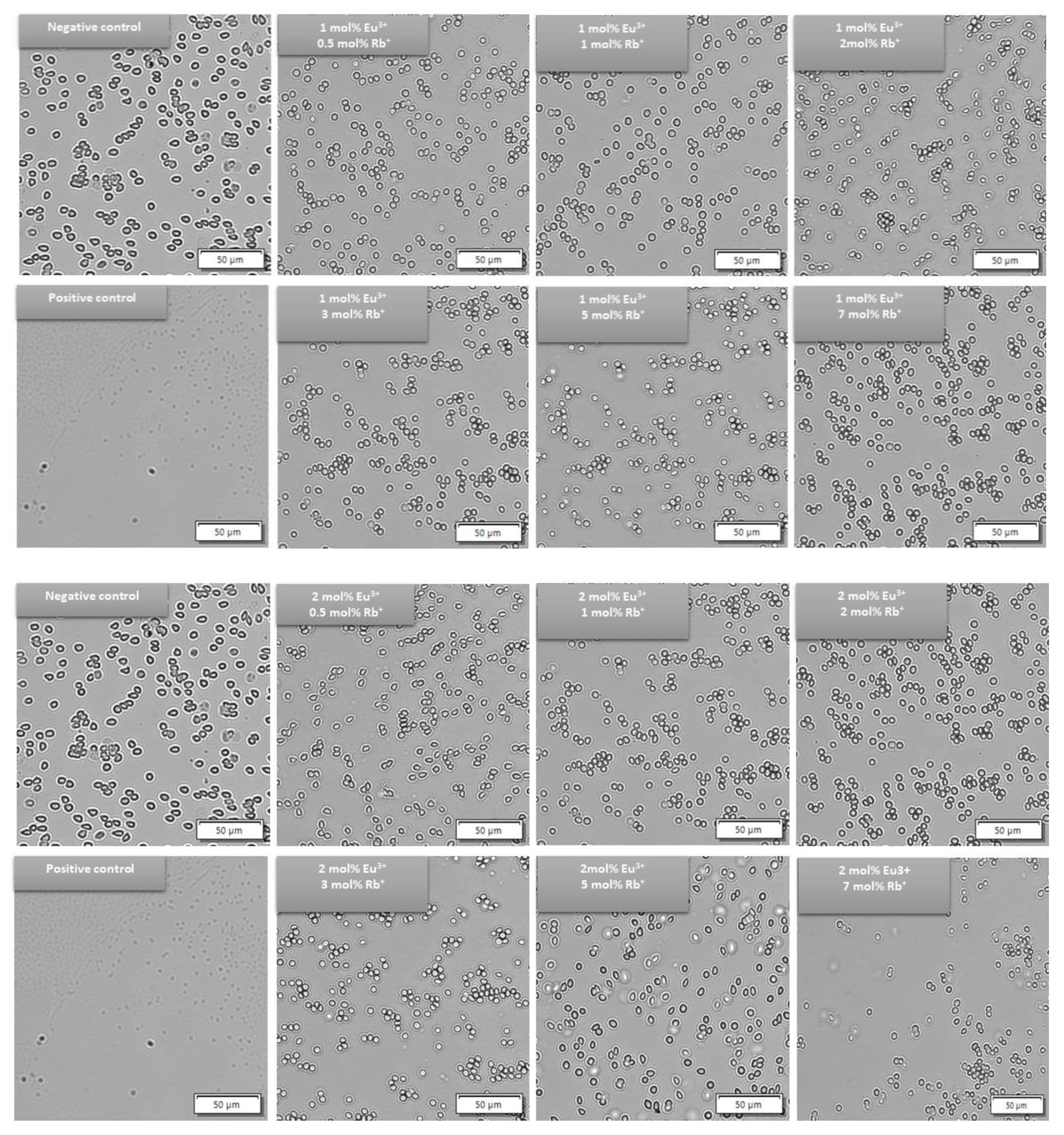 Nanomaterials 12 04475 g012