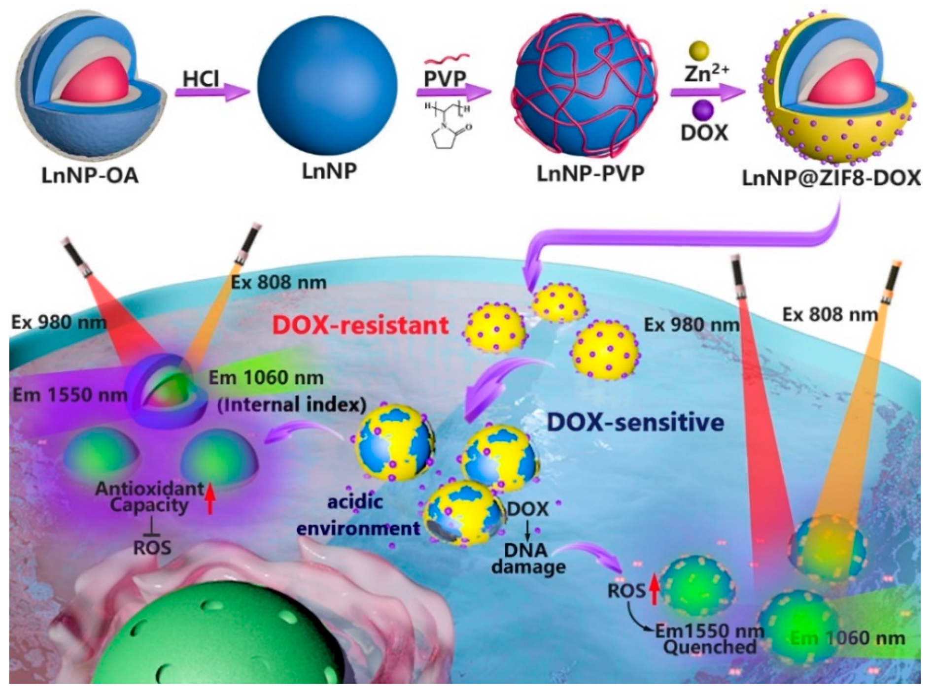 Nanomaterials 12 04478 g001 Nanomaterials 12 04478 g001