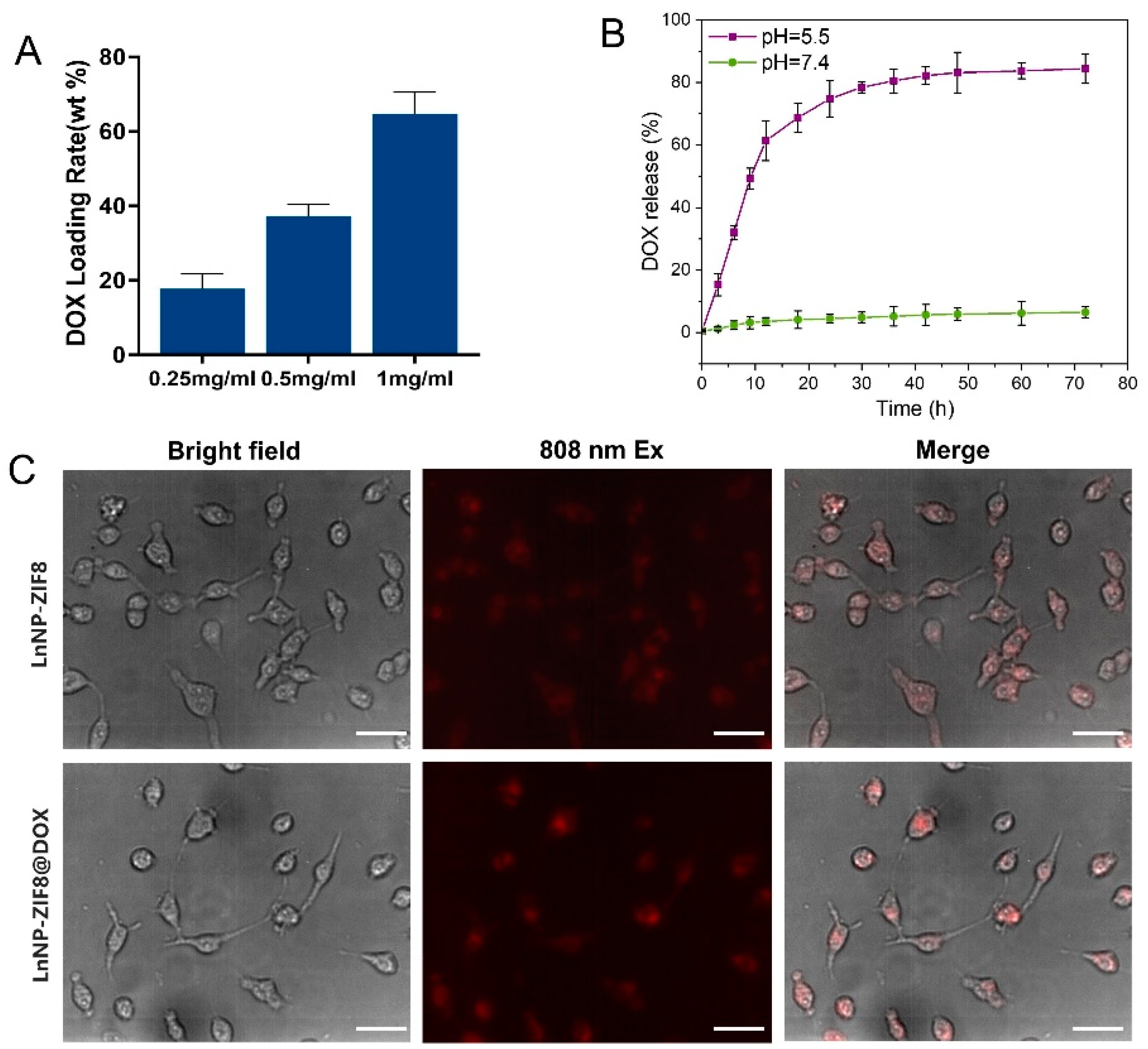 Nanomaterials 12 04478 g004 Nanomaterials 12 04478 g004