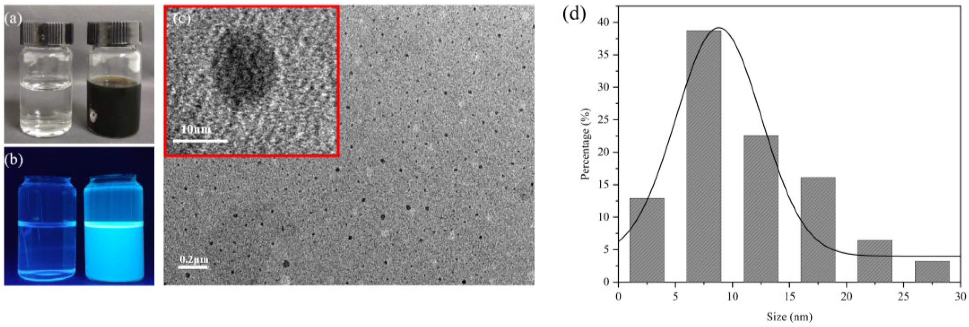 Nanomaterials 12 04482 g001