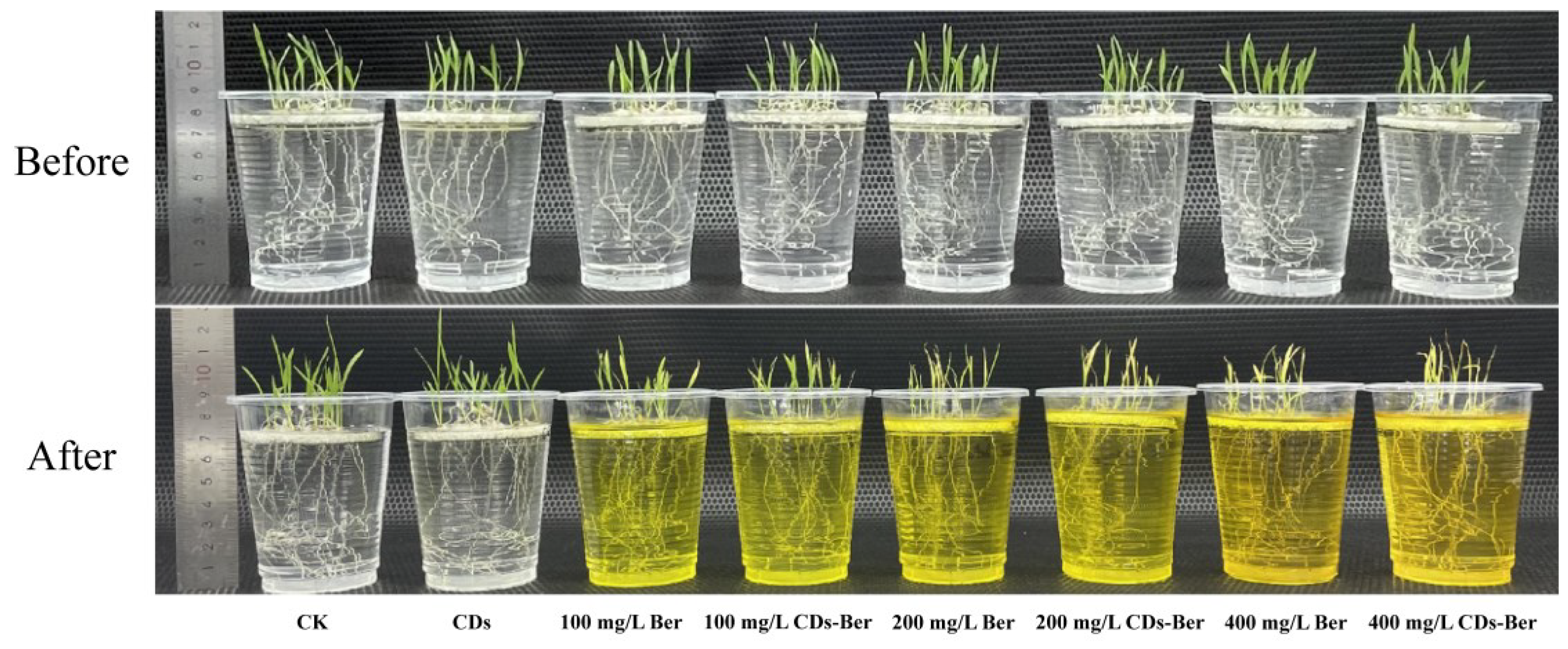 Nanomaterials 12 04482 g006