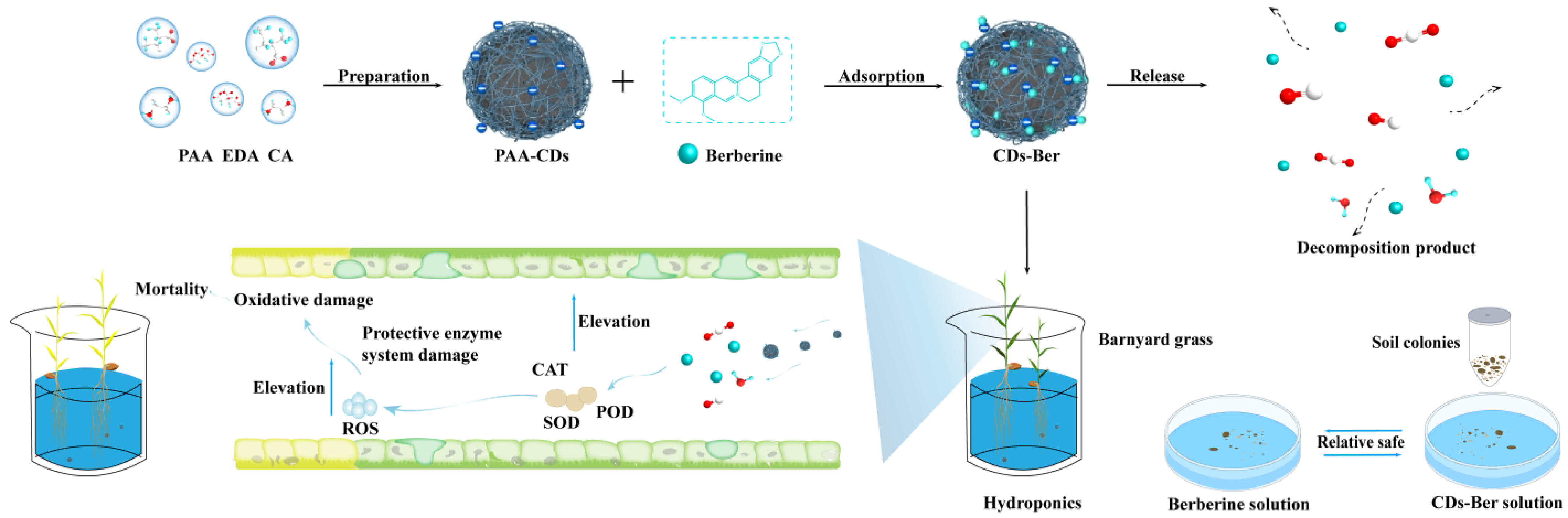 Nanomaterials 12 04482 sch001