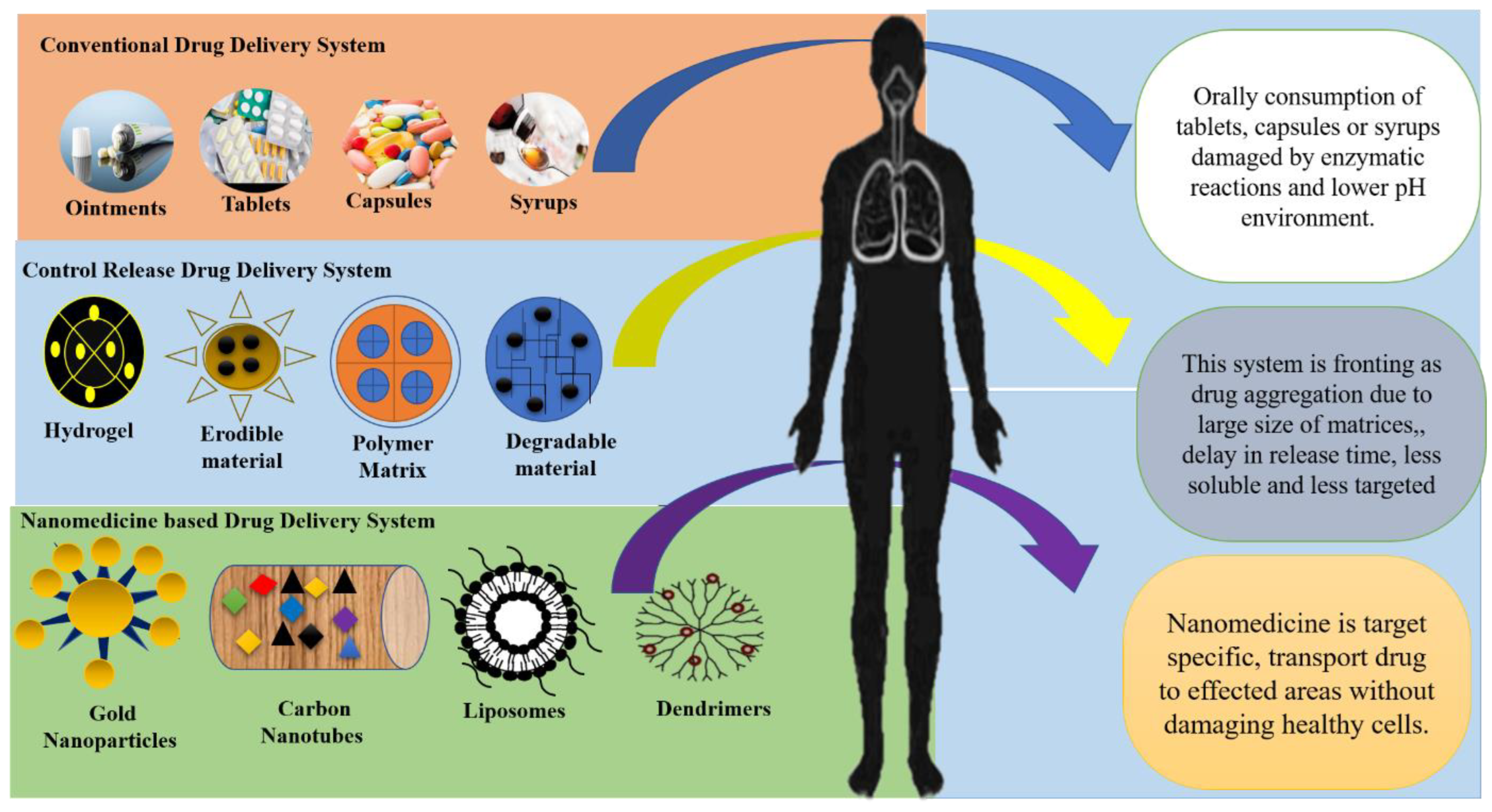 Nanomaterials 12 04494 g001