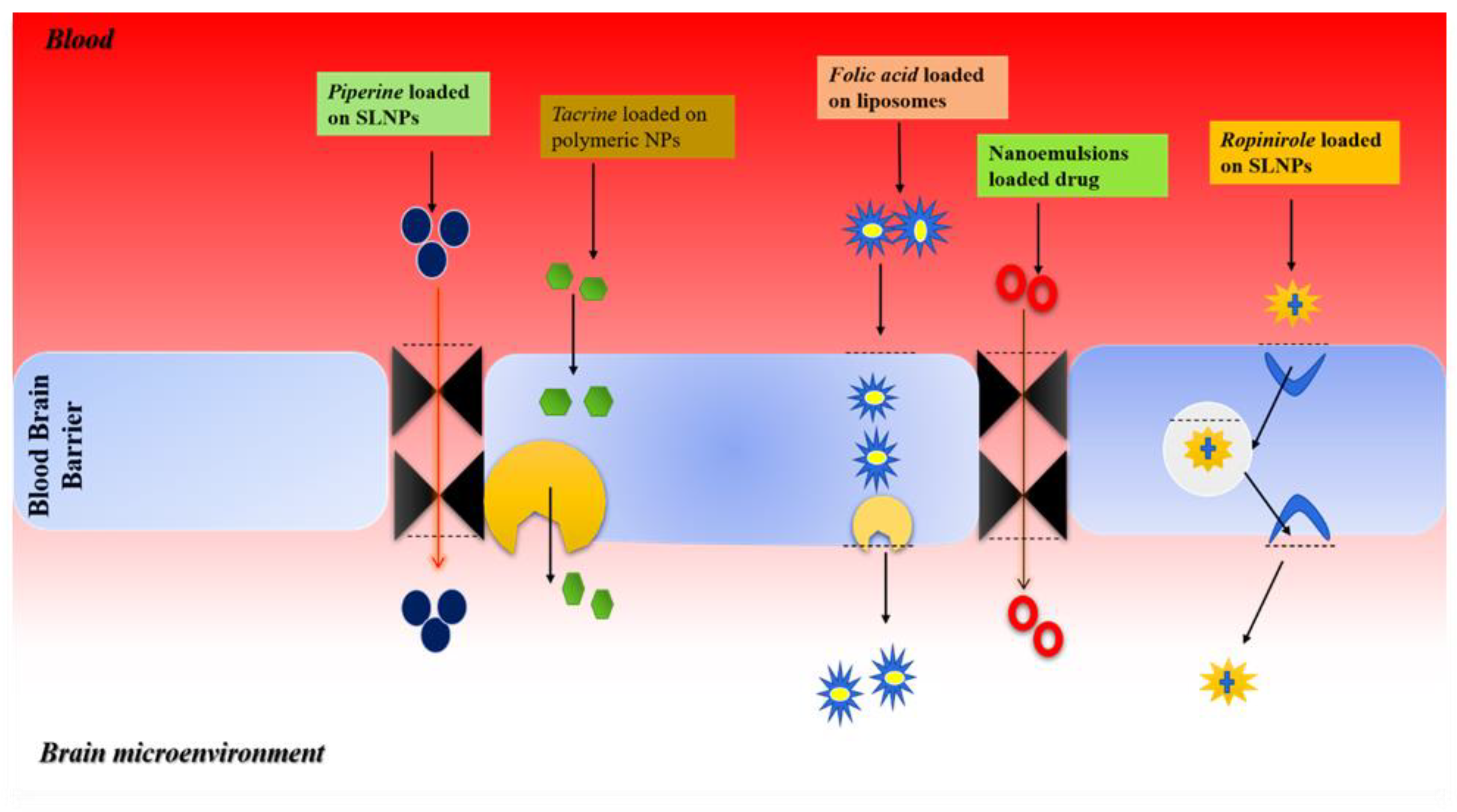 Nanomaterials 12 04494 g003