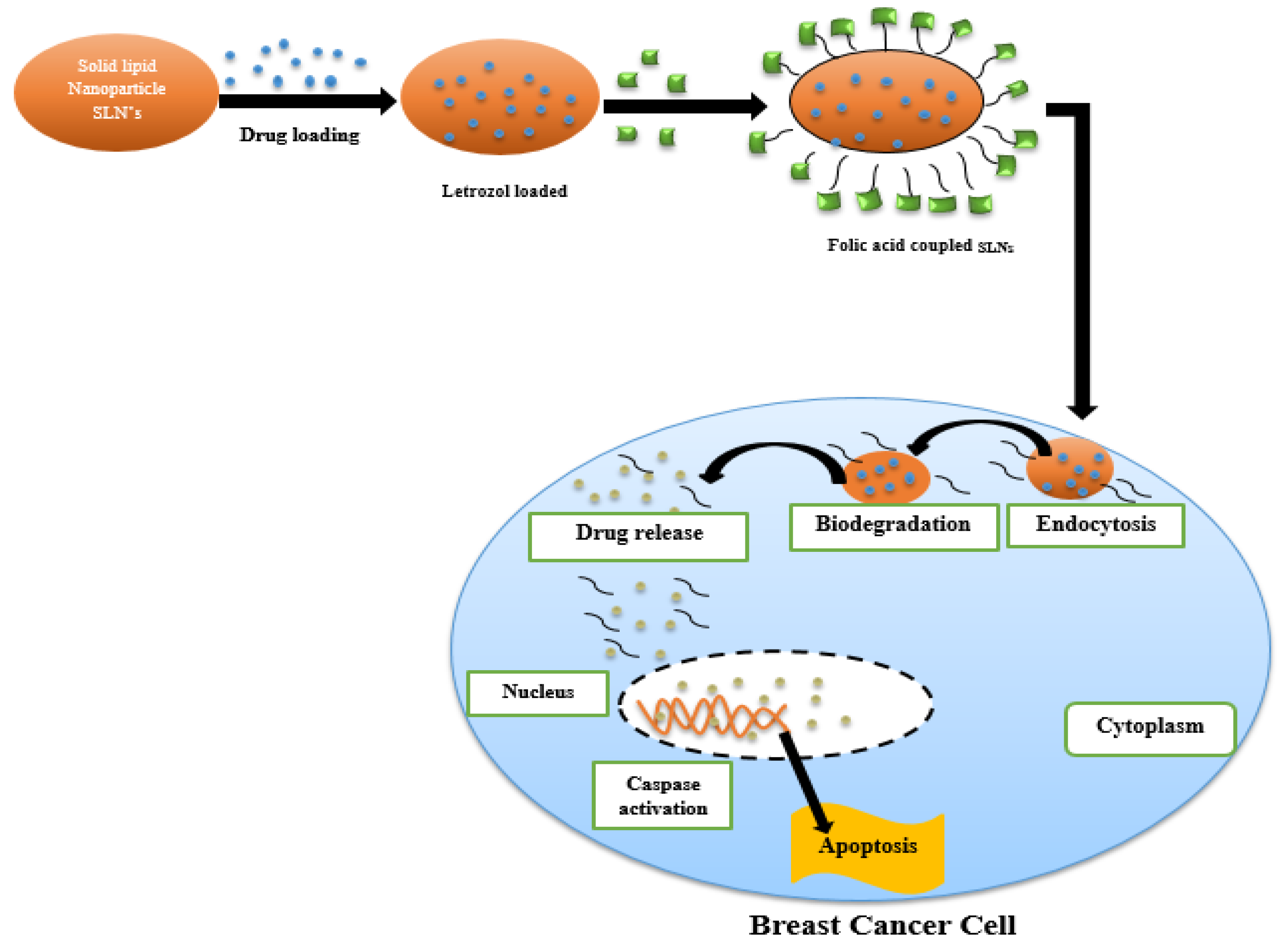 Nanomaterials 12 04494 g004