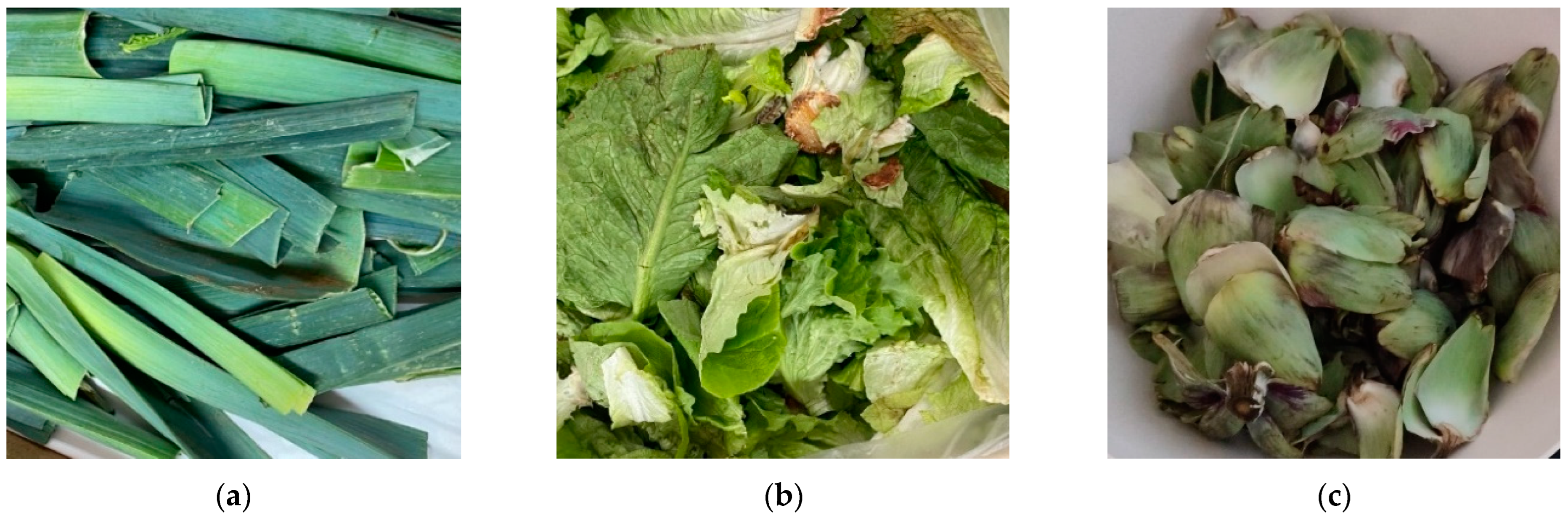 Nanomaterials 12 04499 g001