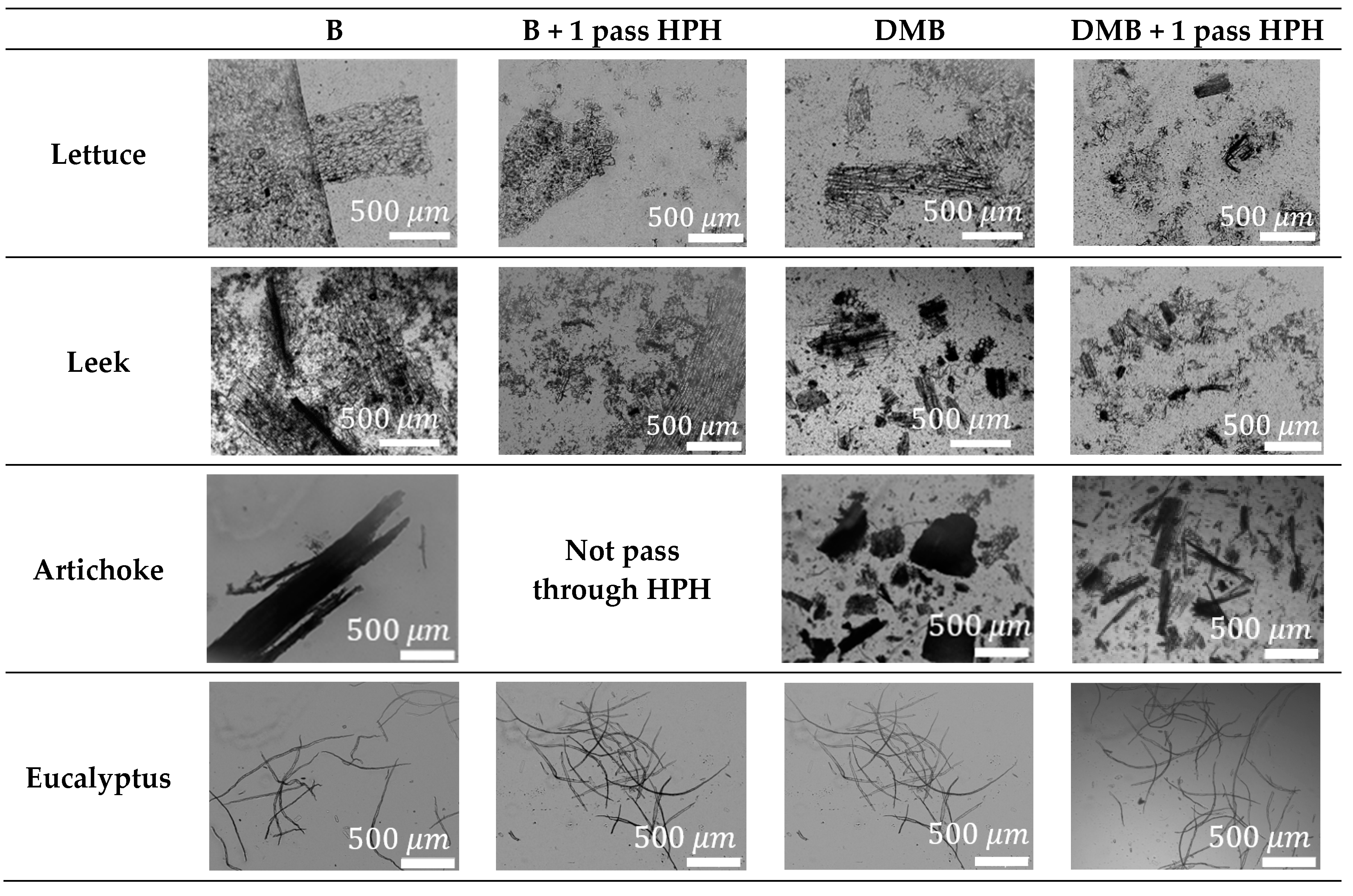 Nanomaterials 12 04499 g003