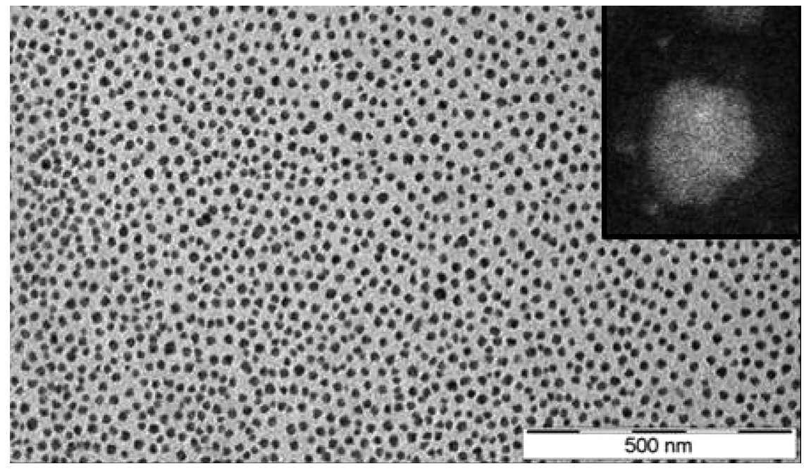 Nanomaterials 13 00002 g003