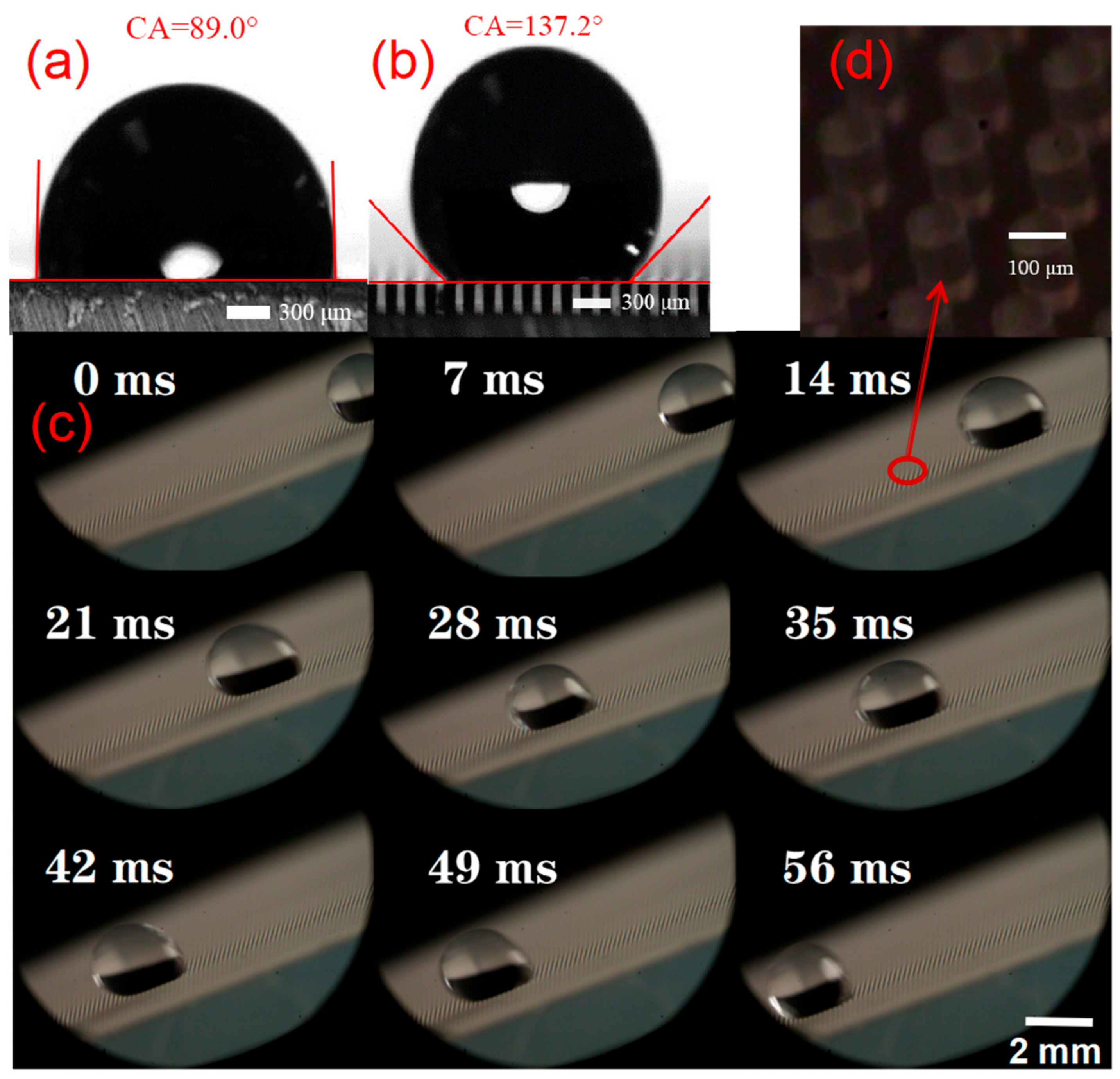 Nanomaterials 13 00004 g006