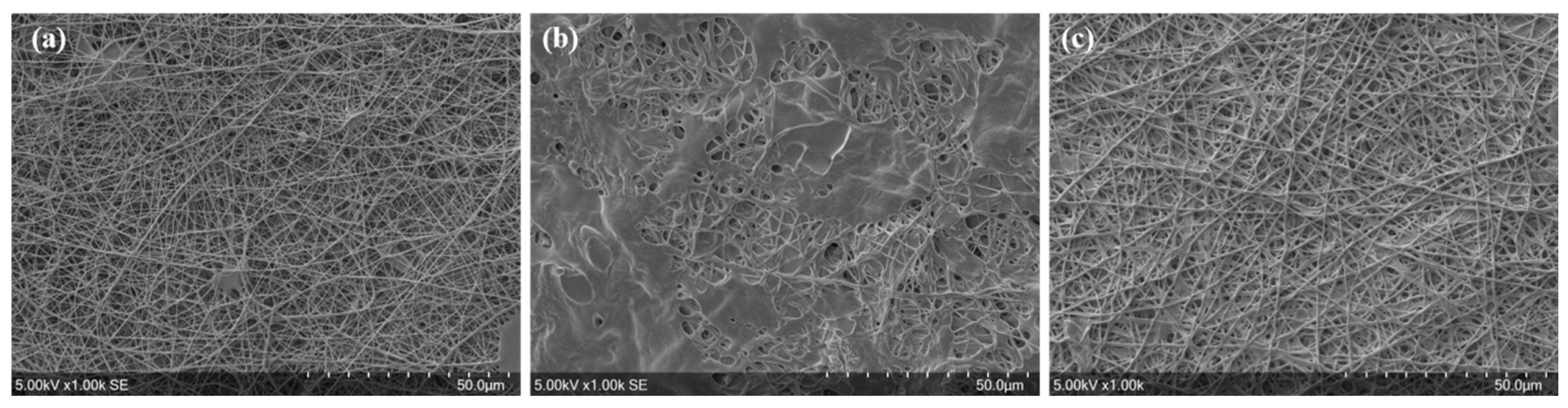 Nanomaterials 13 00009 g002